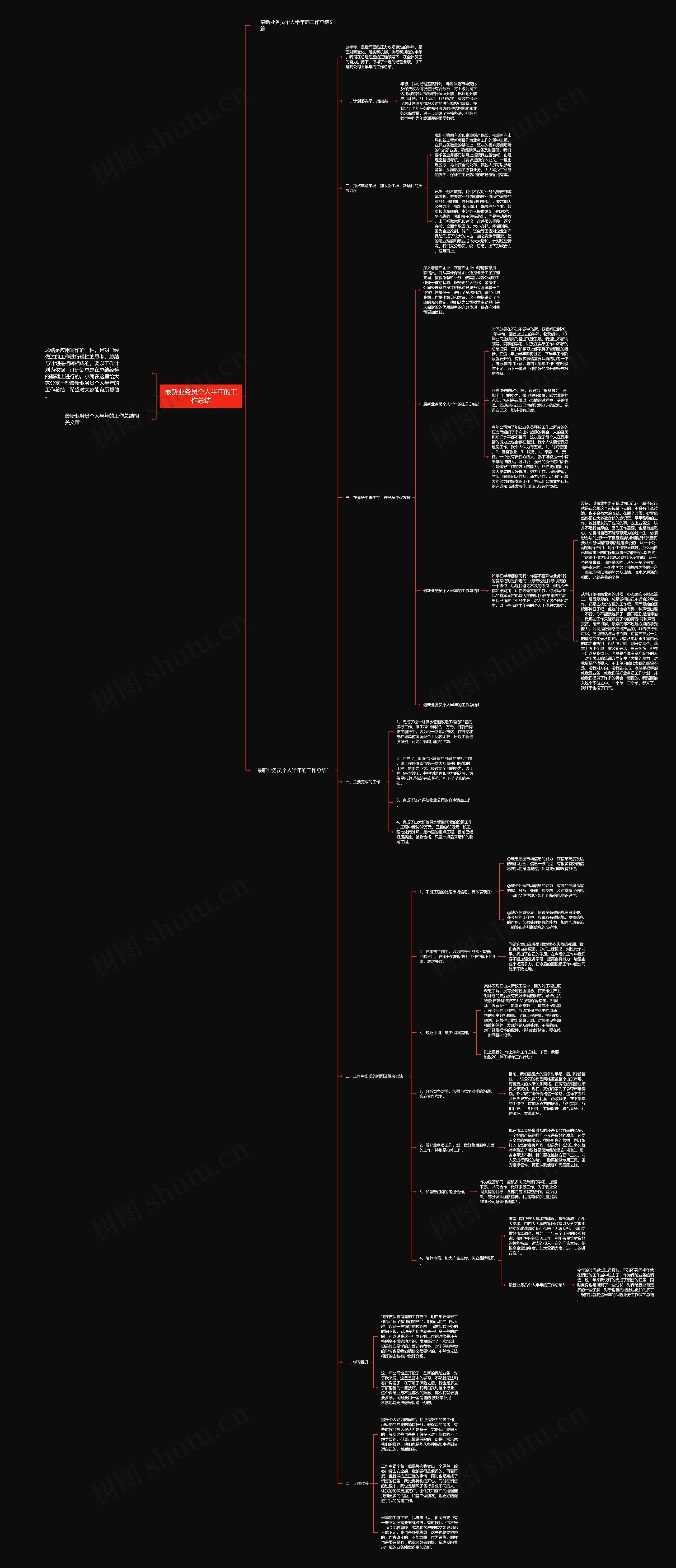 最新业务员个人半年的工作总结思维导图
