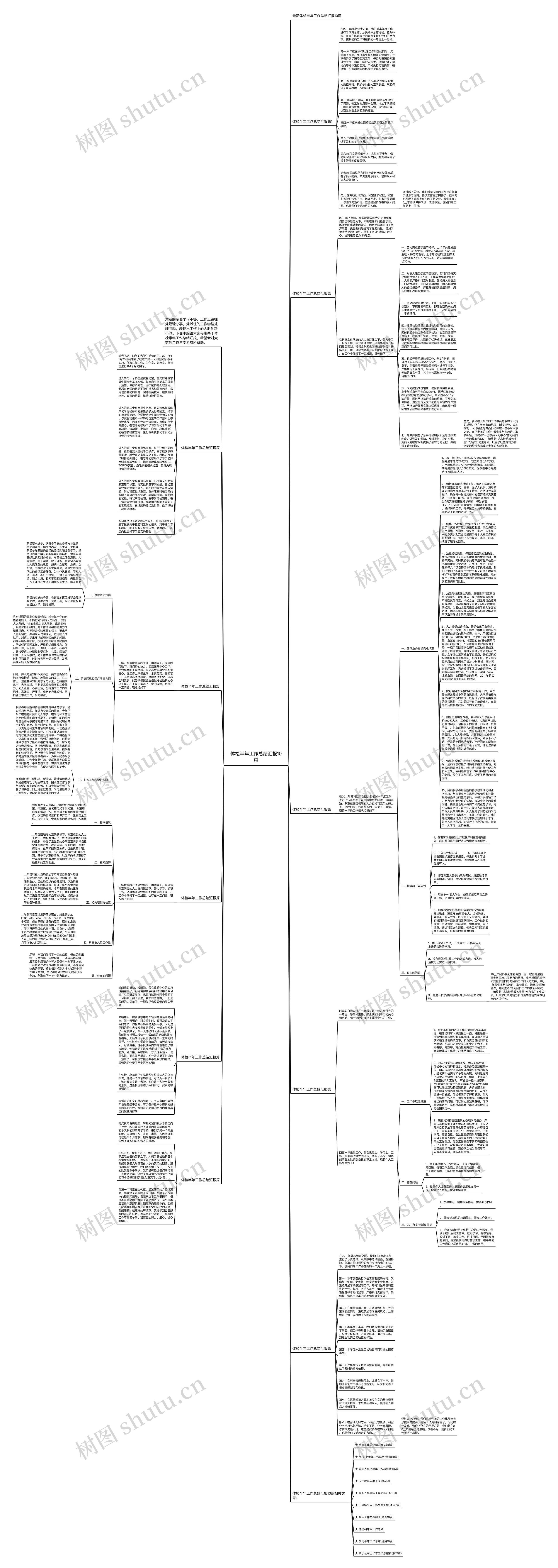 体检半年工作总结汇报10篇思维导图