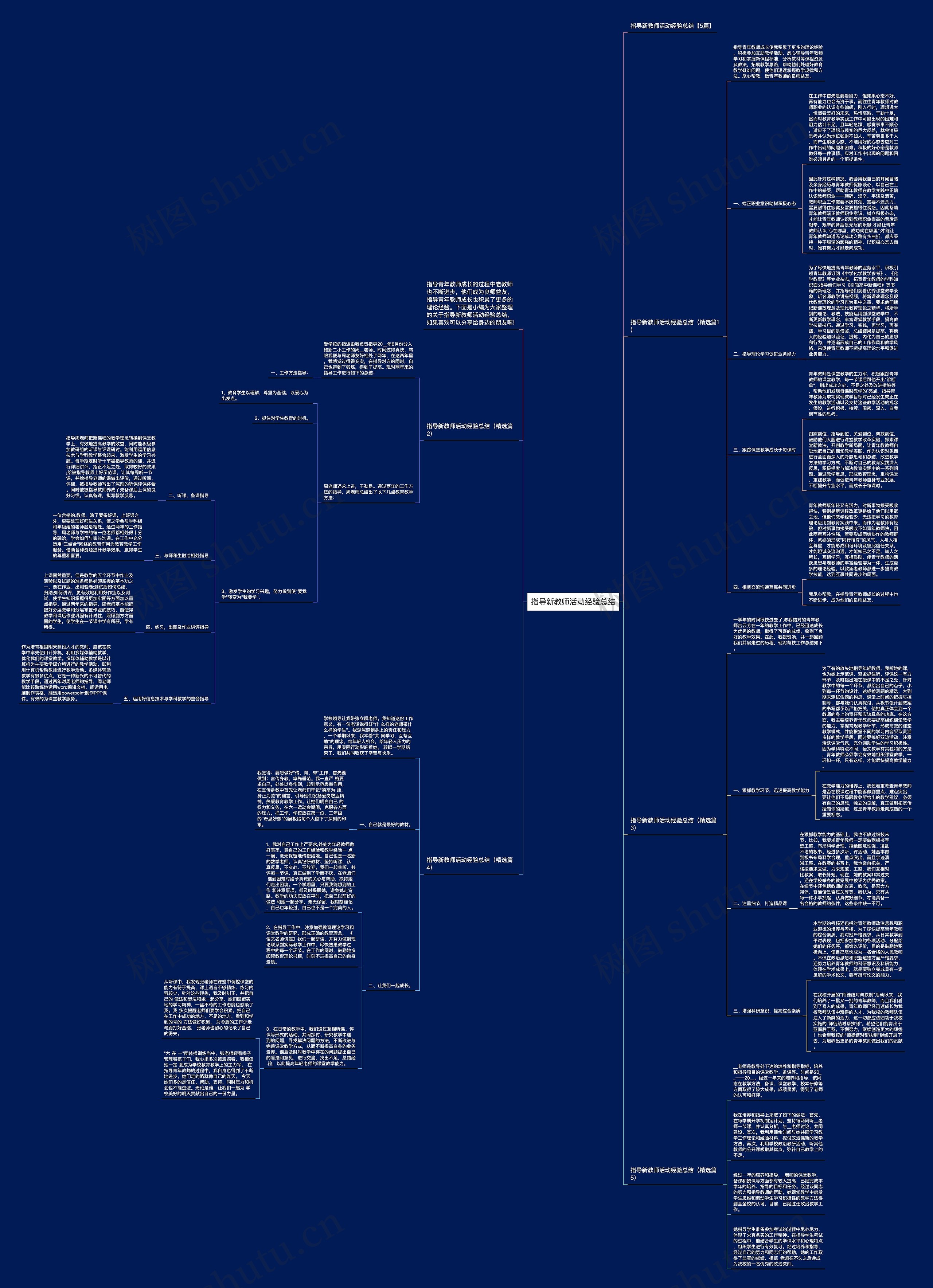 指导新教师活动经验总结思维导图