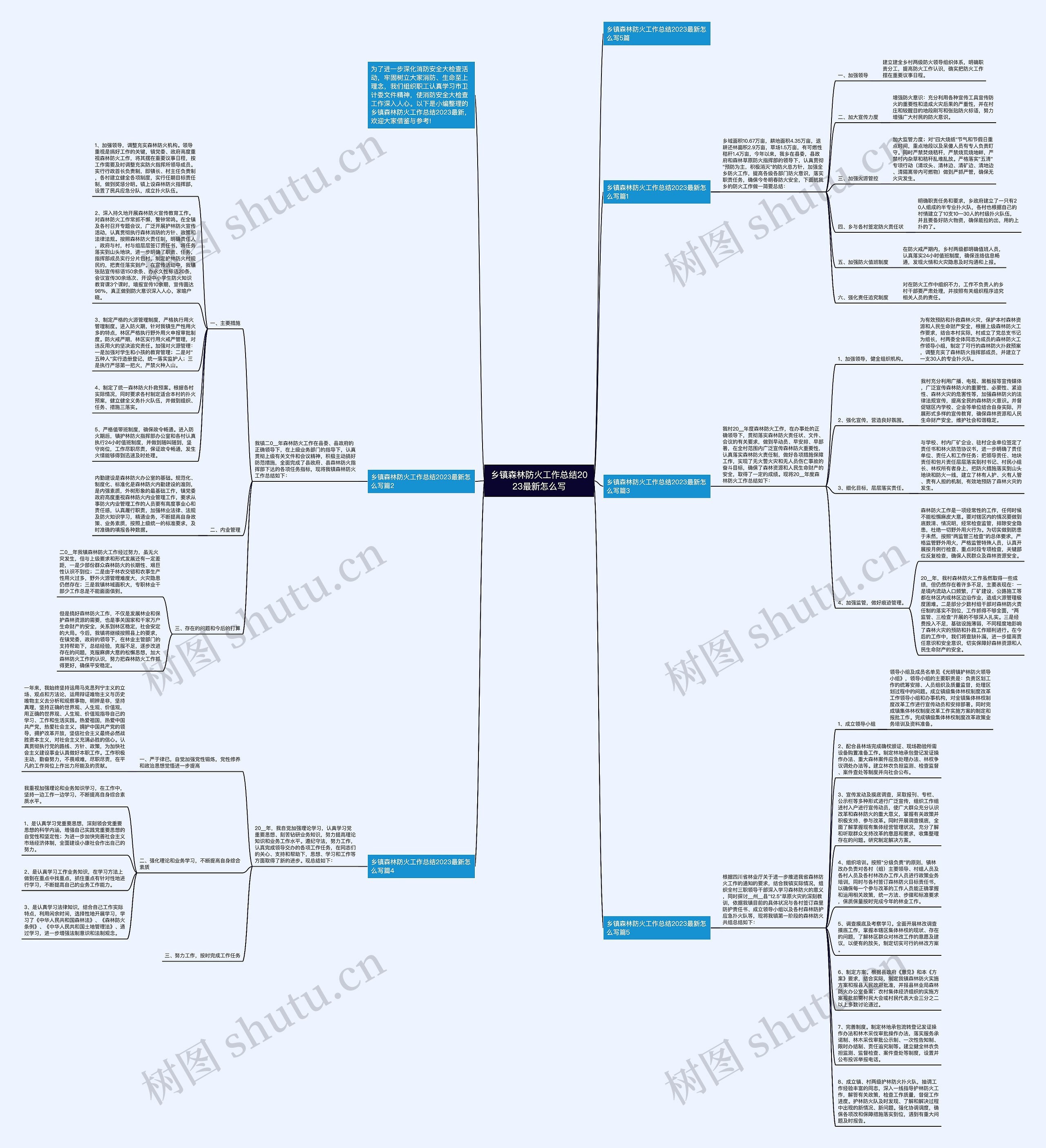 乡镇森林防火工作总结2023最新怎么写思维导图