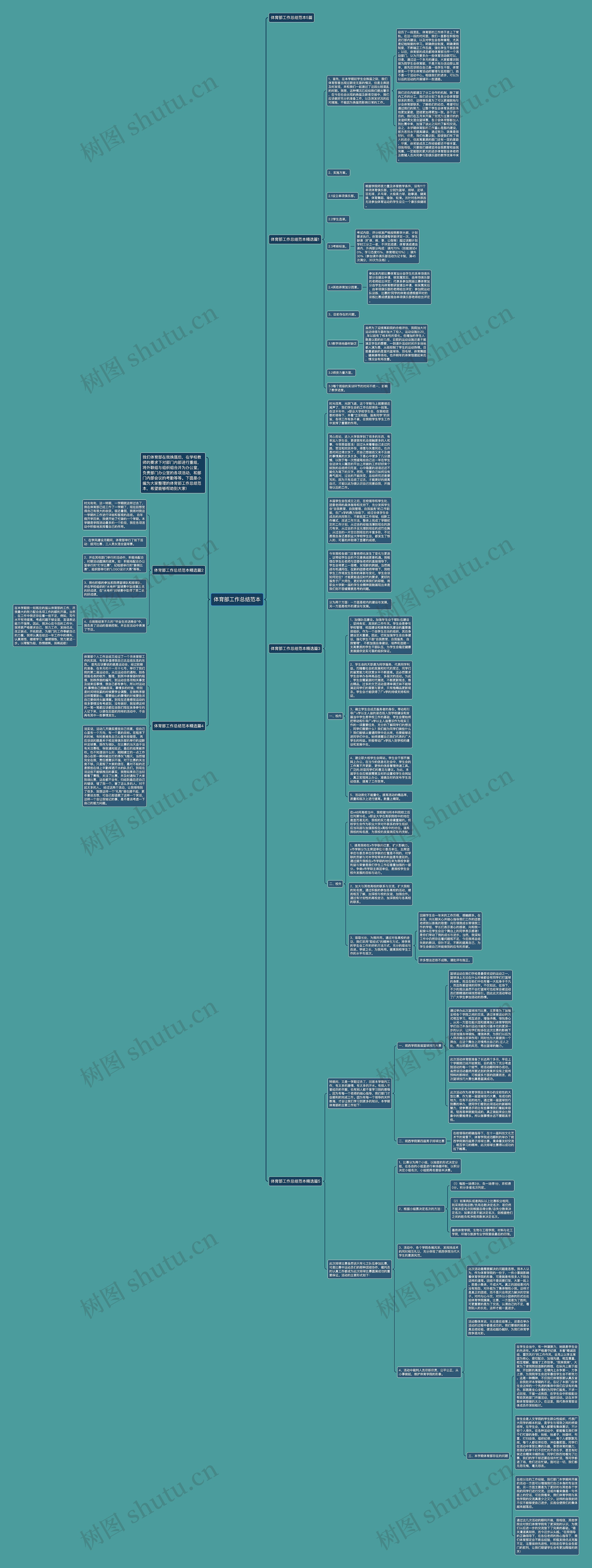 体育部工作总结范本思维导图