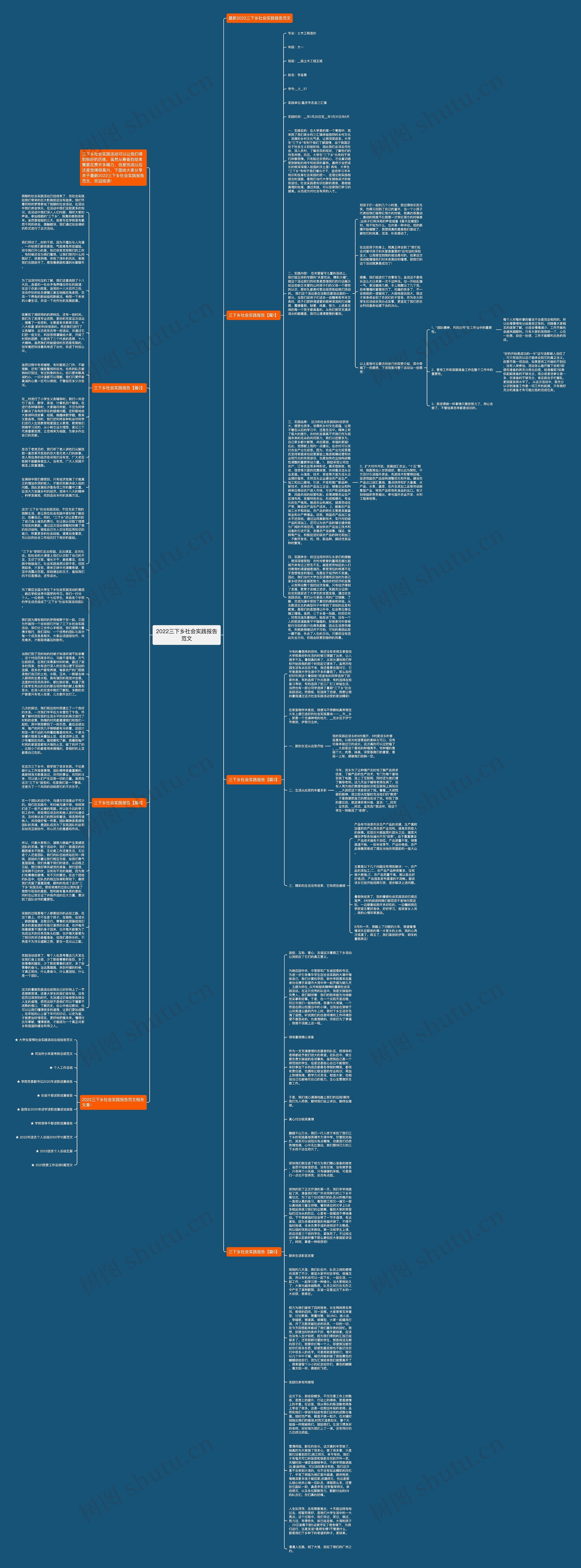 2022三下乡社会实践报告范文思维导图