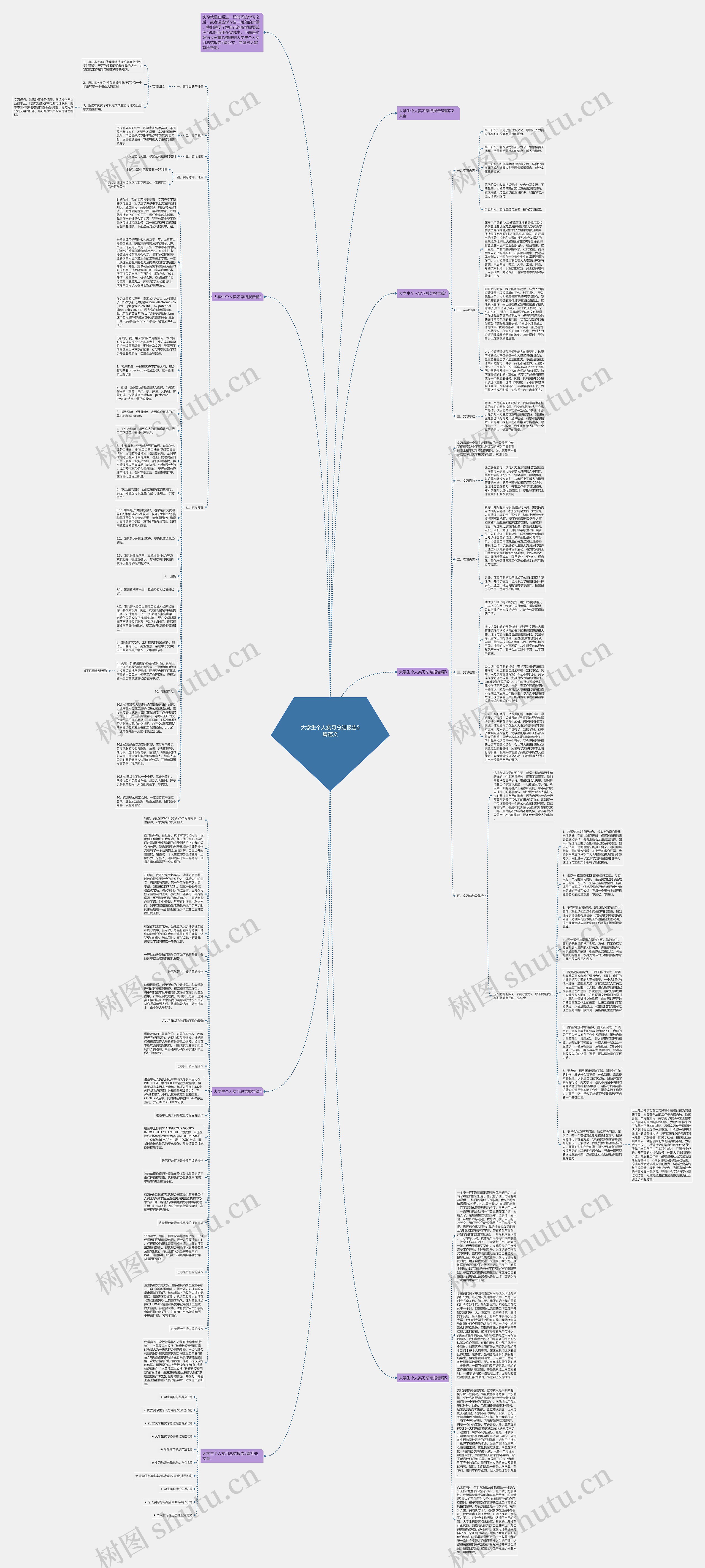 大学生个人实习总结报告5篇范文思维导图