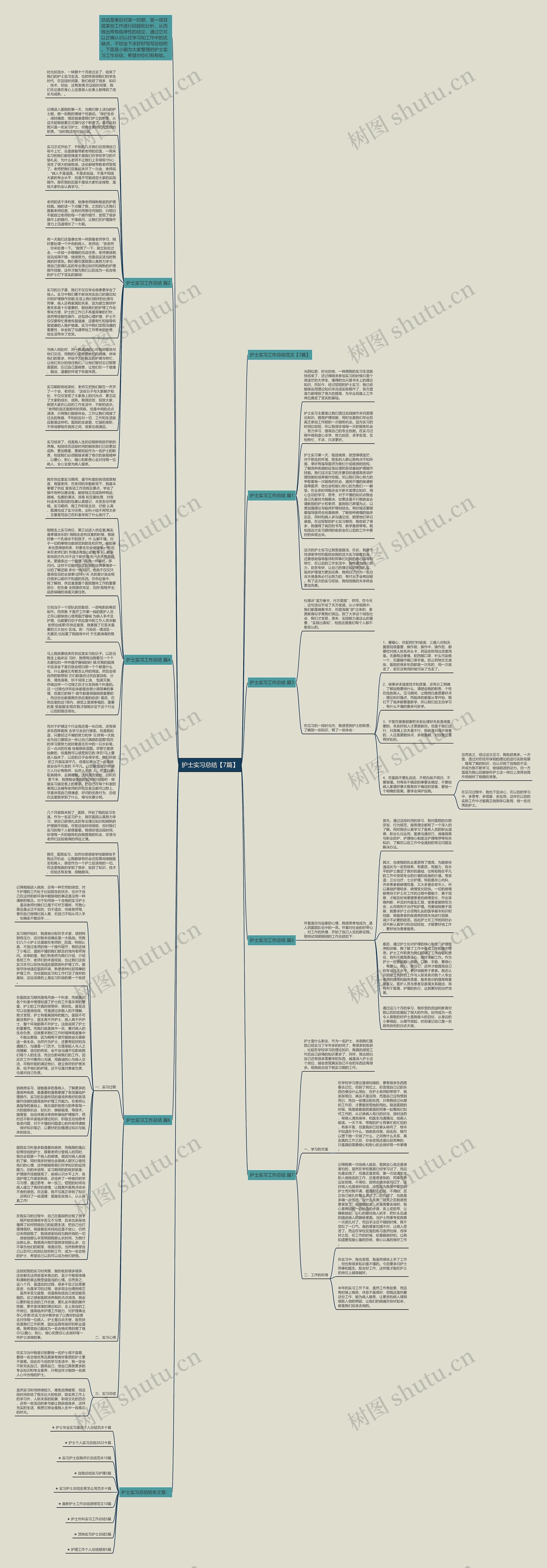 护士实习总结【7篇】
