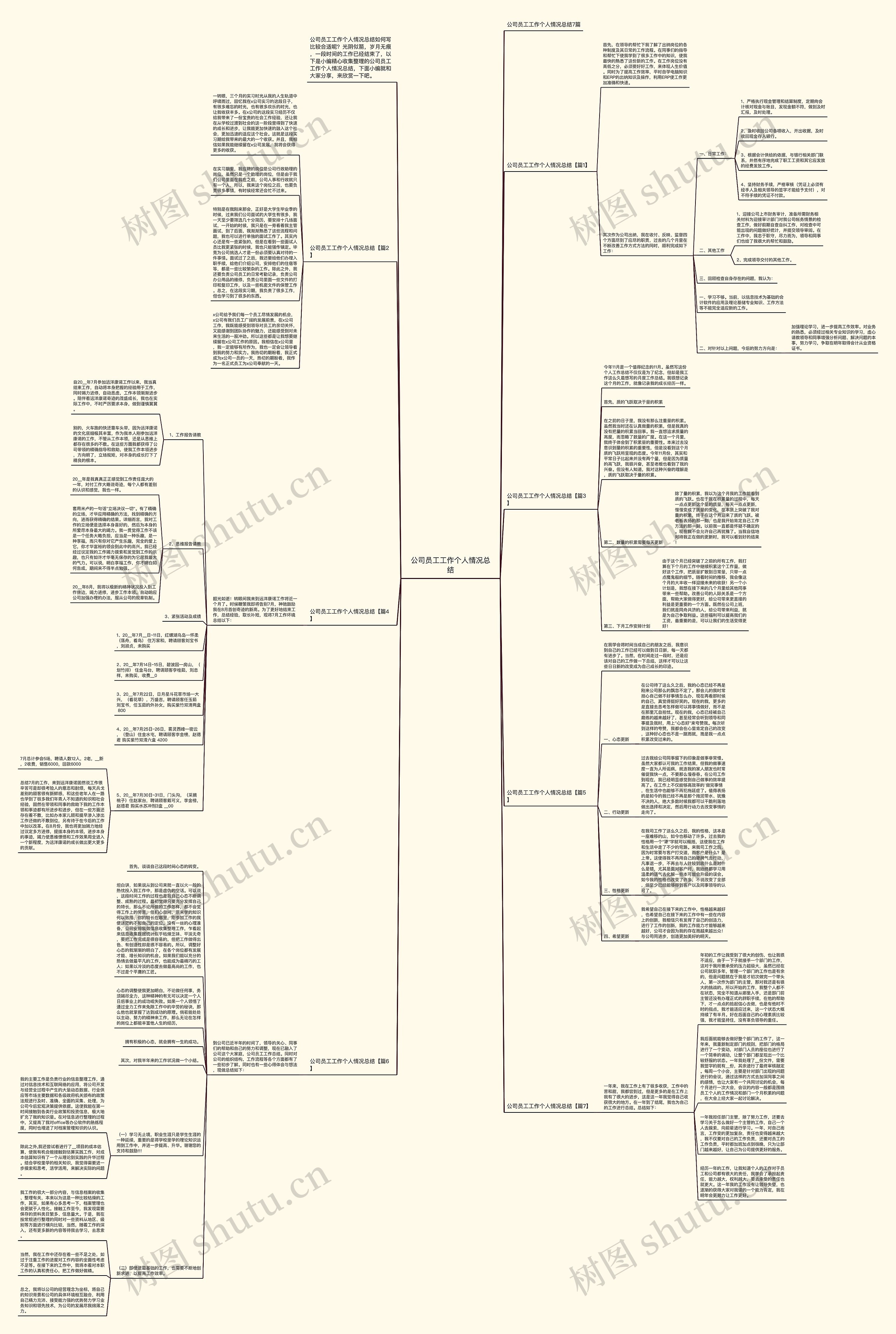 公司员工工作个人情况总结思维导图