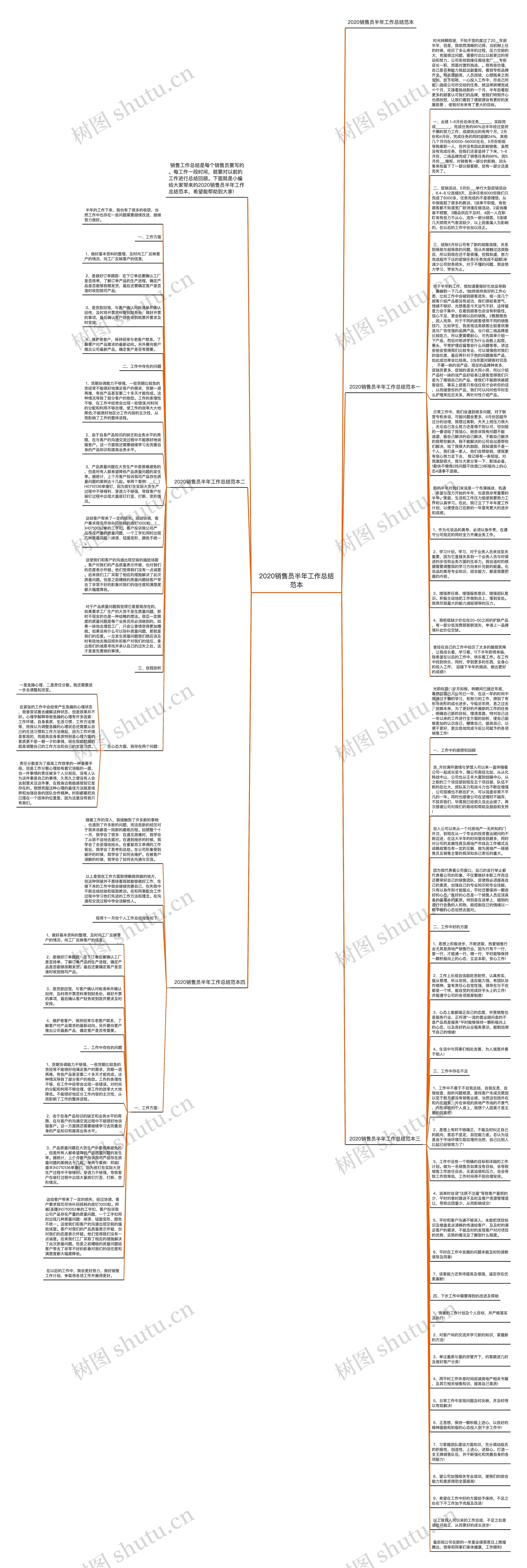 2020销售员半年工作总结范本思维导图