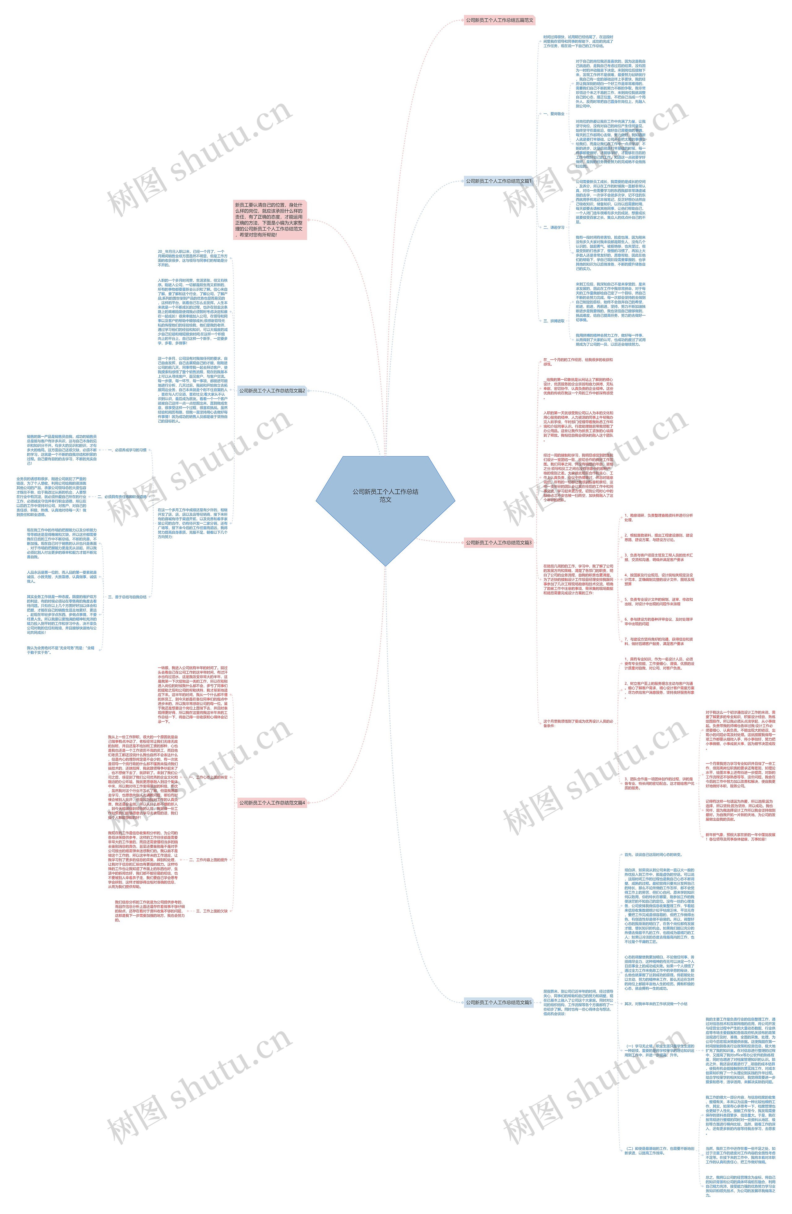 公司新员工个人工作总结范文思维导图