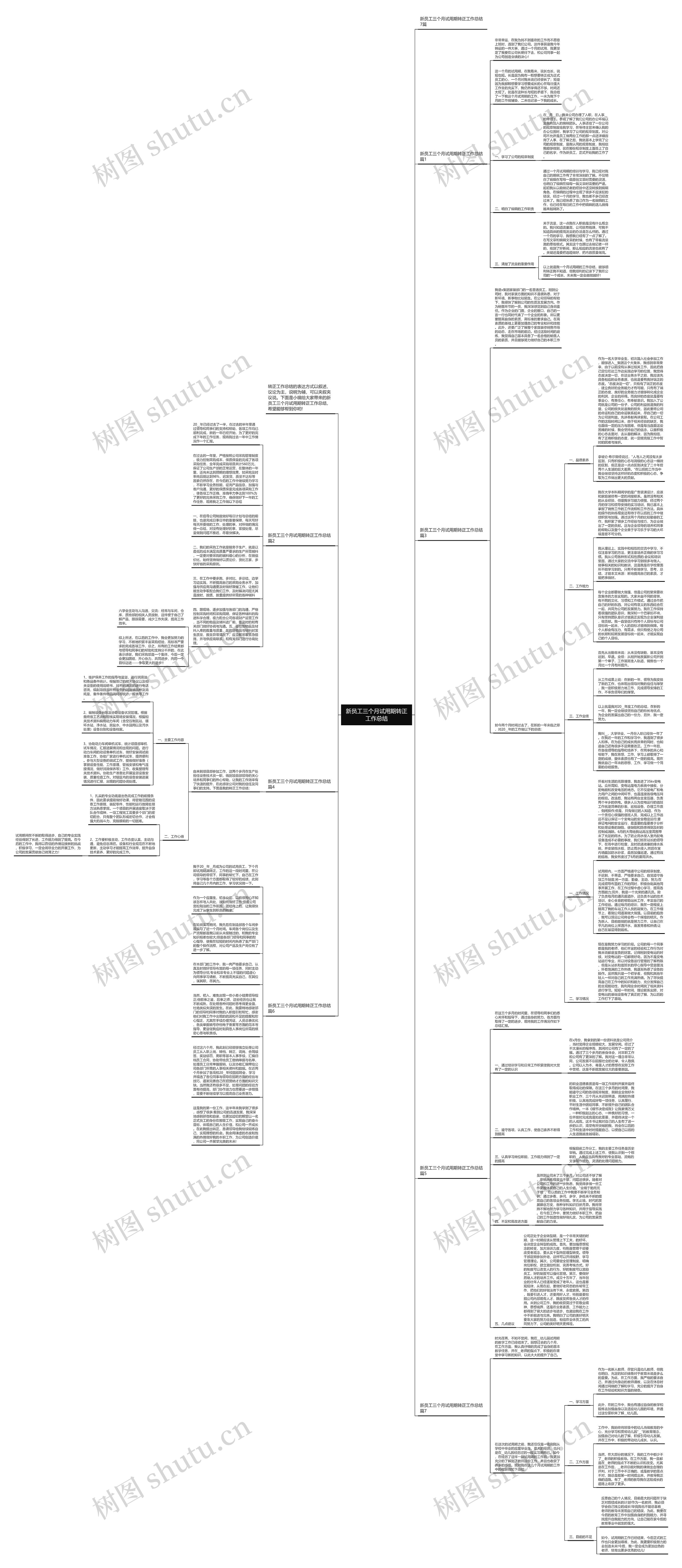 新员工三个月试用期转正工作总结