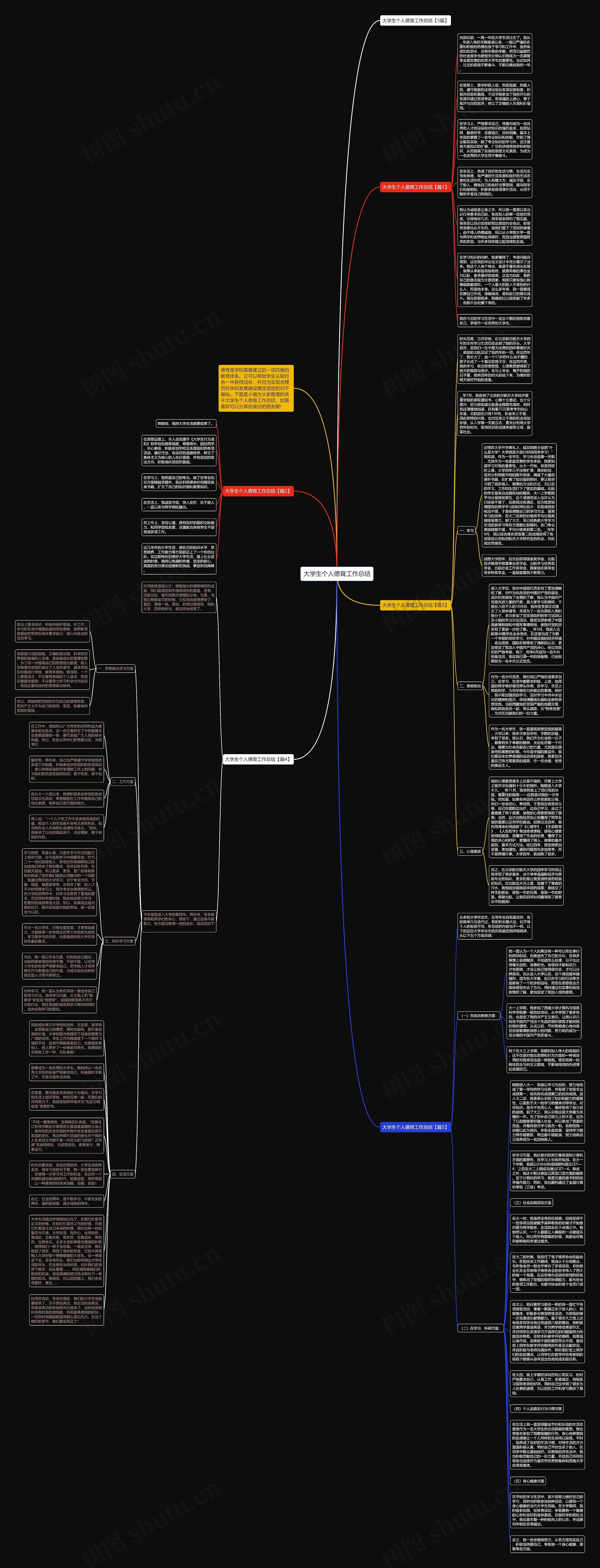 大学生个人德育工作总结思维导图