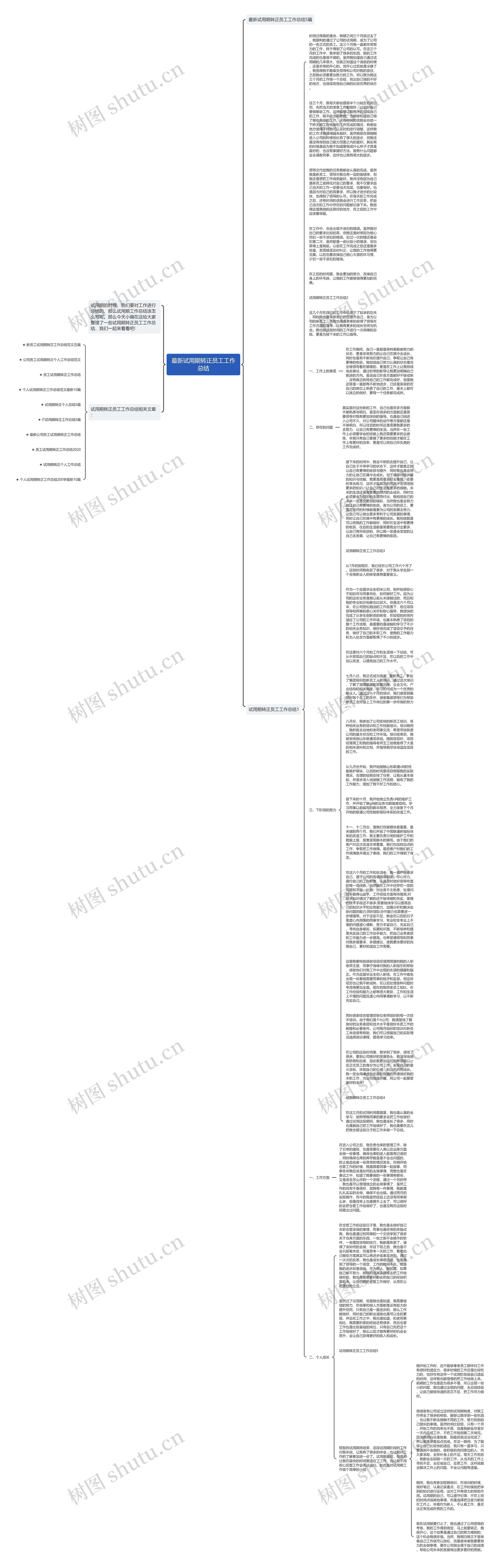 最新试用期转正员工工作总结思维导图