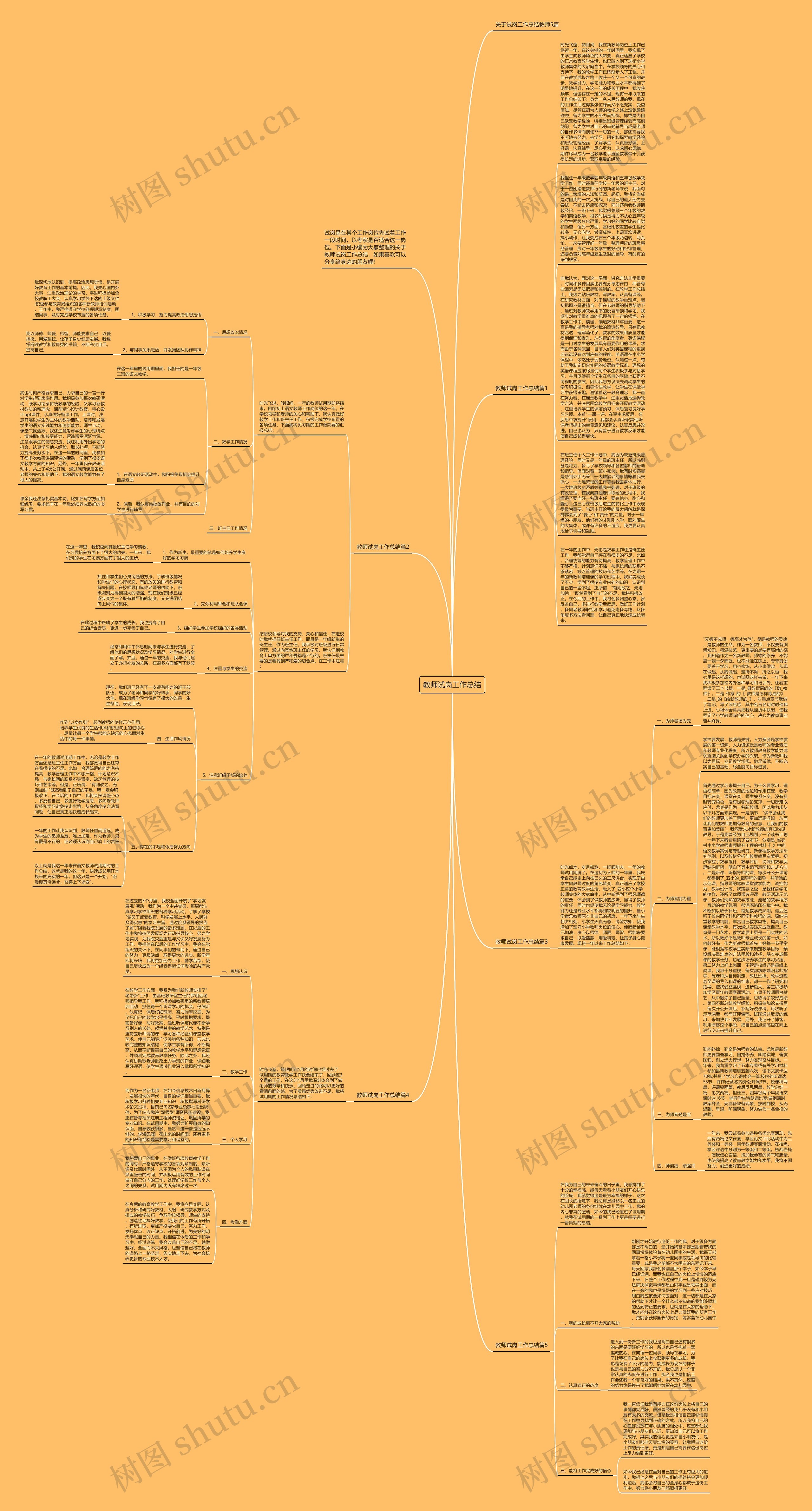 教师试岗工作总结思维导图