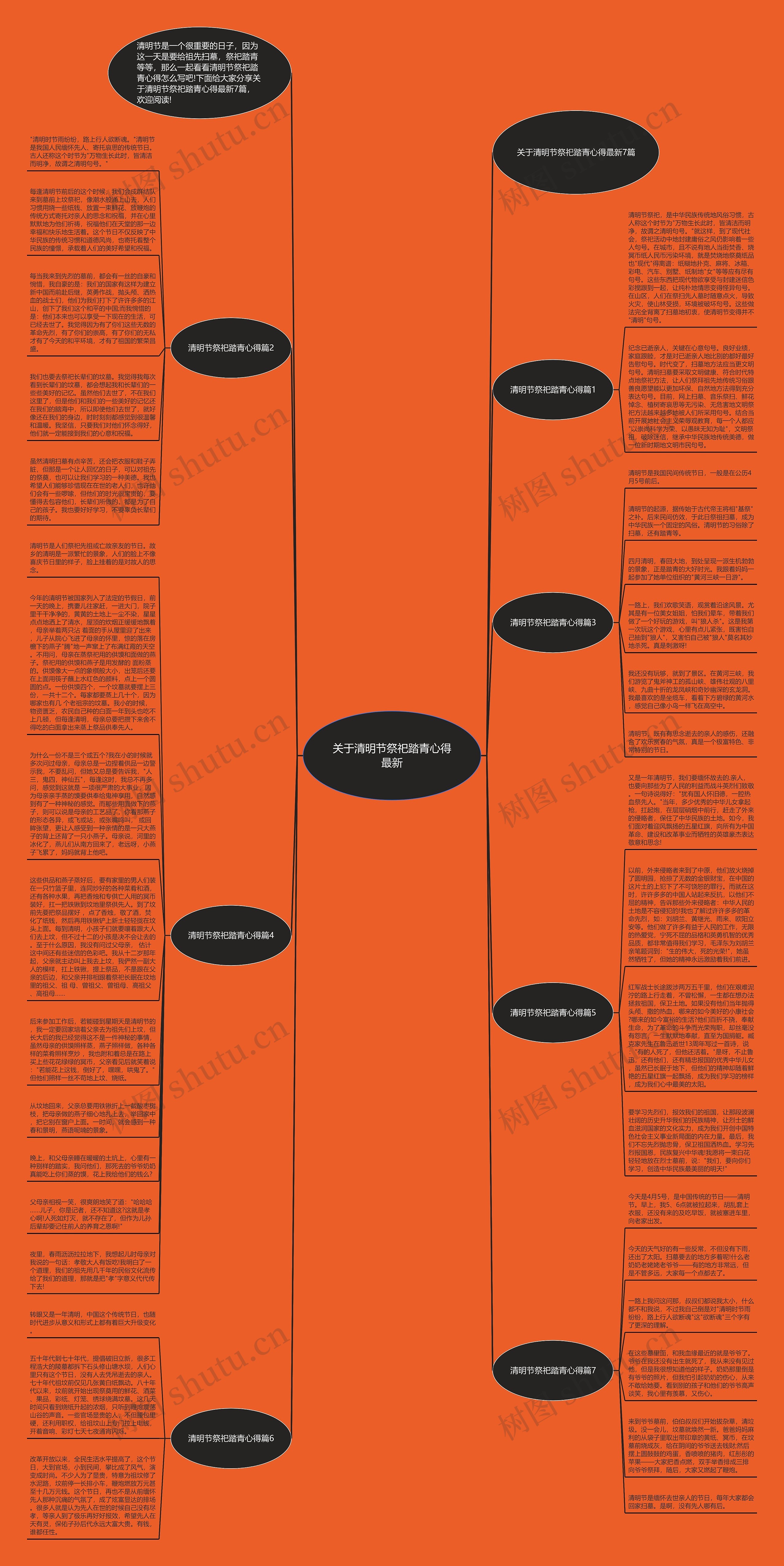 关于清明节祭祀踏青心得最新思维导图