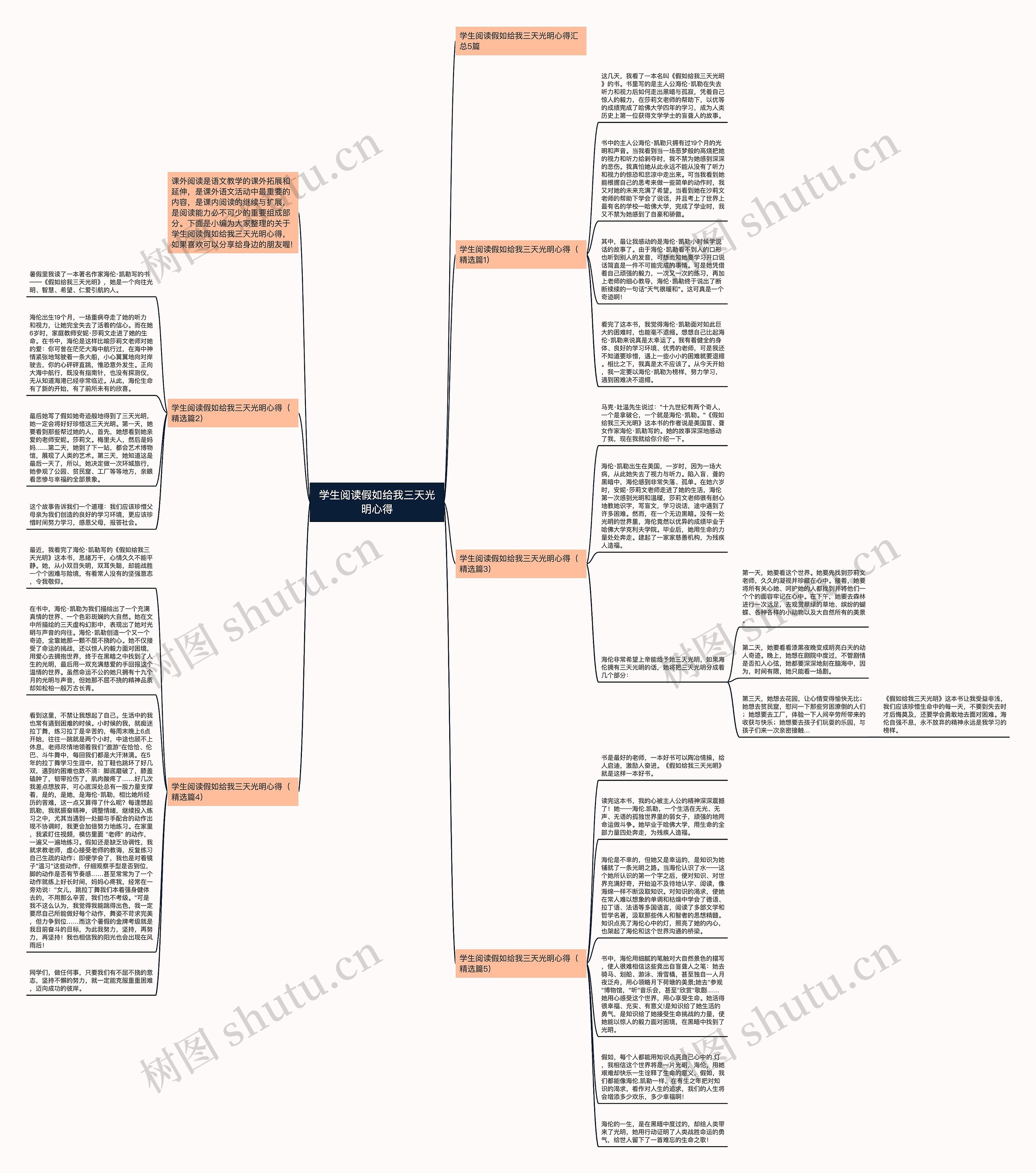 学生阅读假如给我三天光明心得思维导图