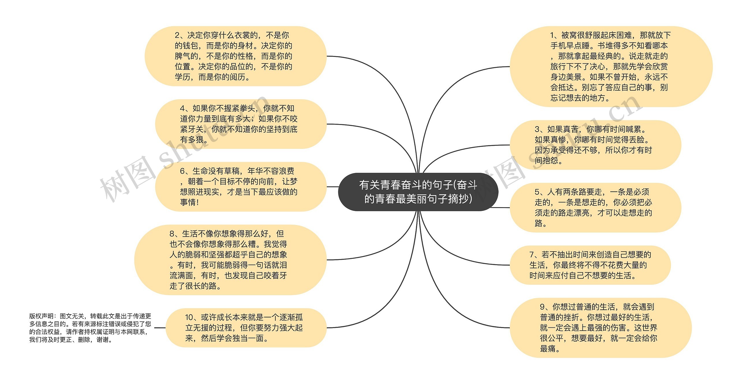 有关青春奋斗的句子(奋斗的青春最美丽句子摘抄)