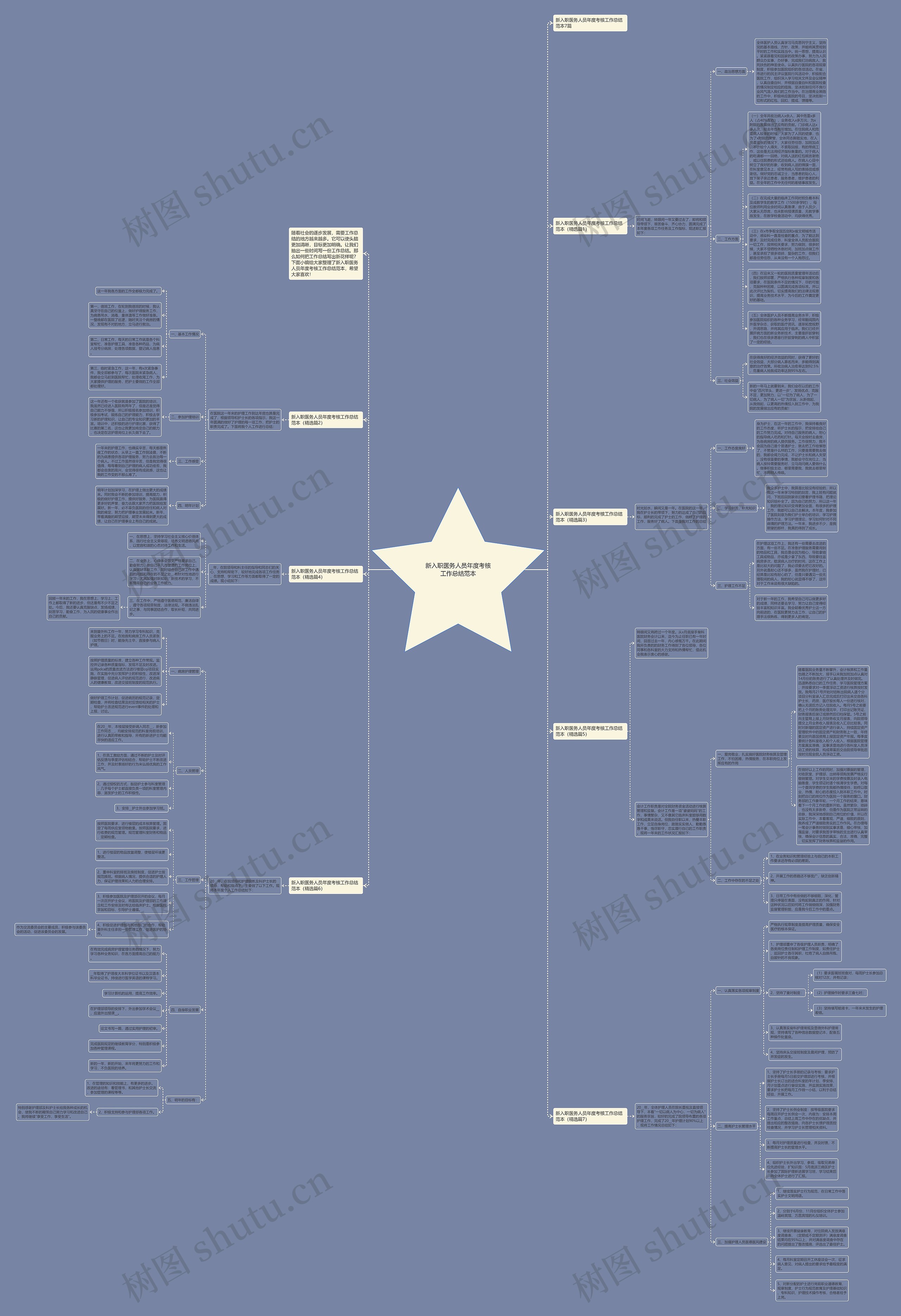 新入职医务人员年度考核工作总结范本思维导图