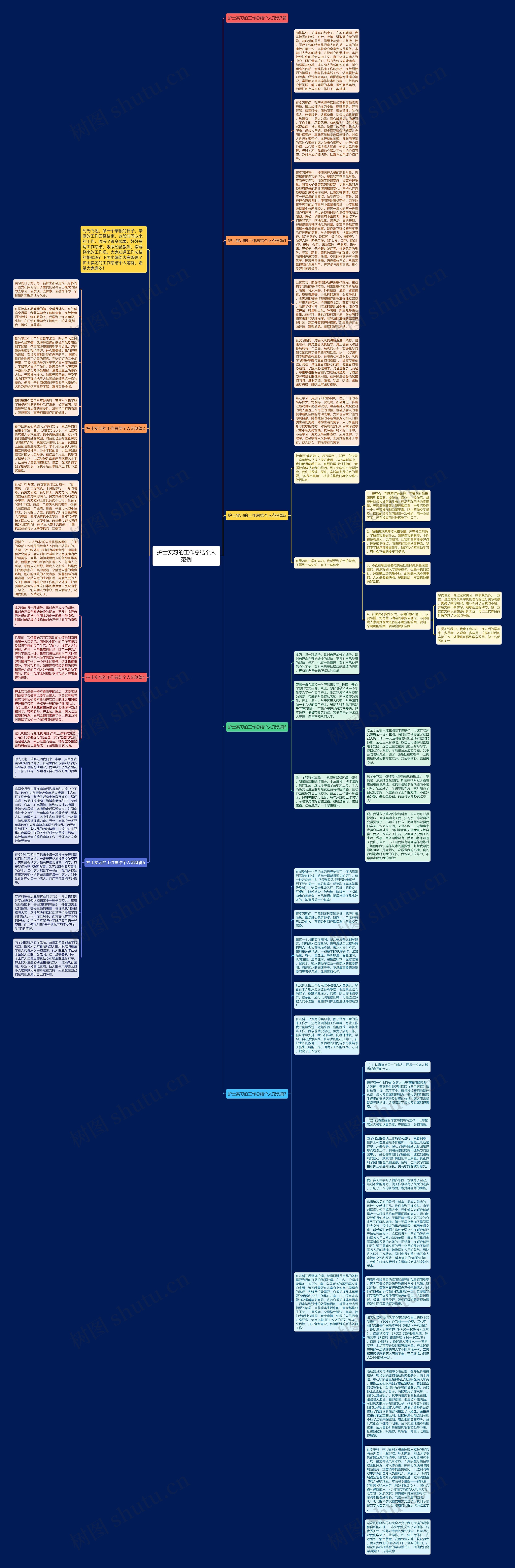 护士实习的工作总结个人范例思维导图