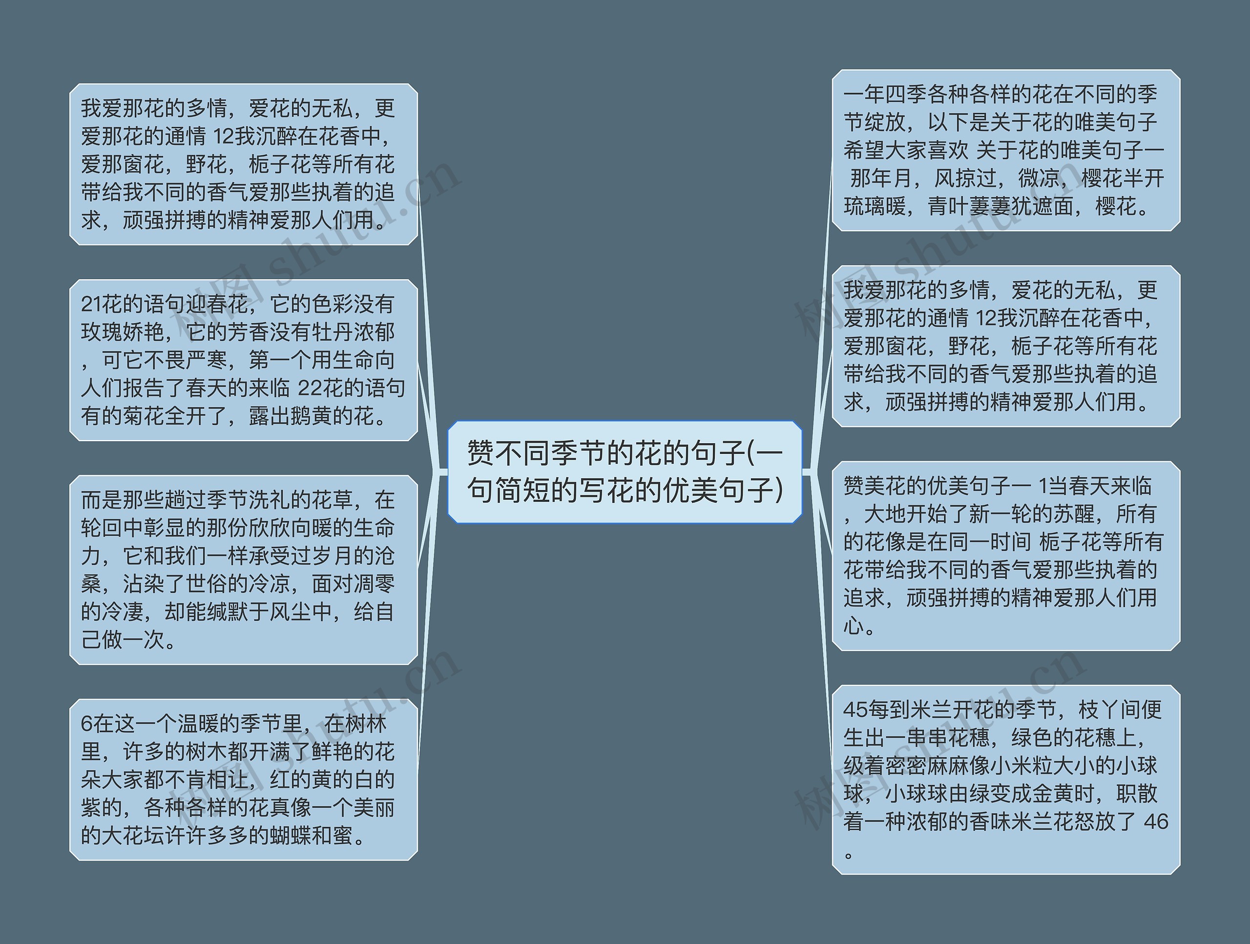 赞不同季节的花的句子(一句简短的写花的优美句子) 赞不同季节的花的句子(一句简短的写花的优美句子)