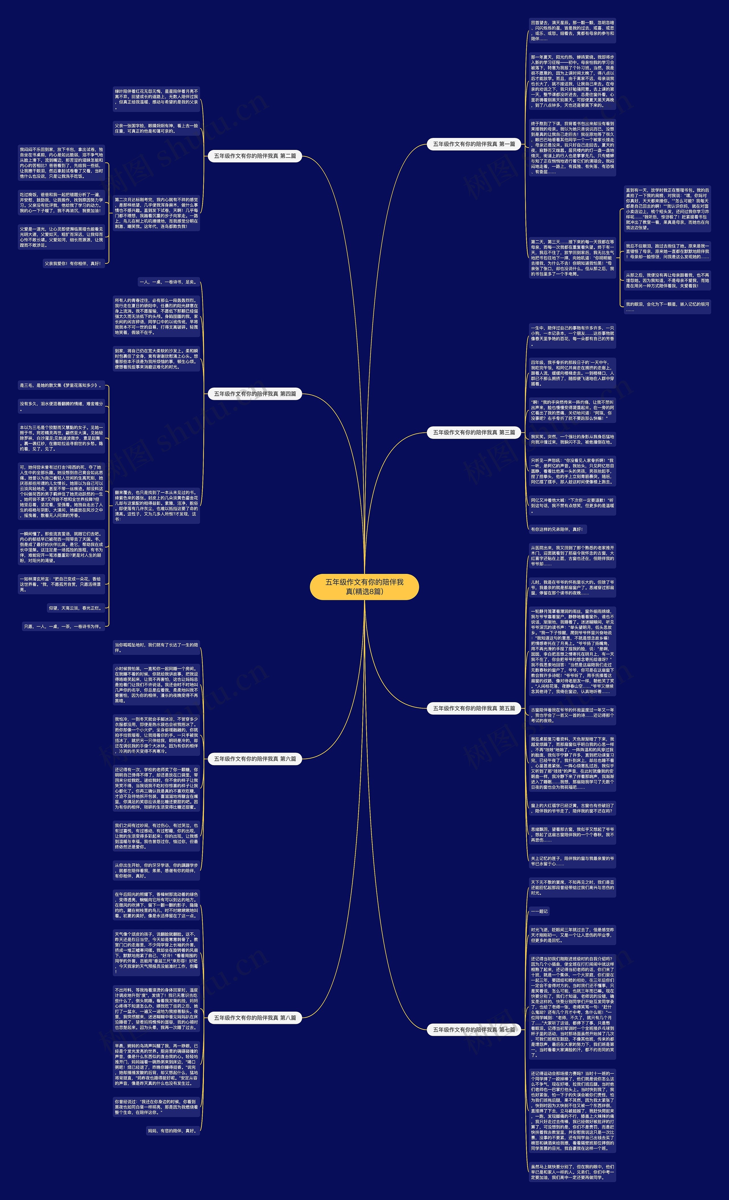 五年级作文有你的陪伴我真(精选8篇)思维导图