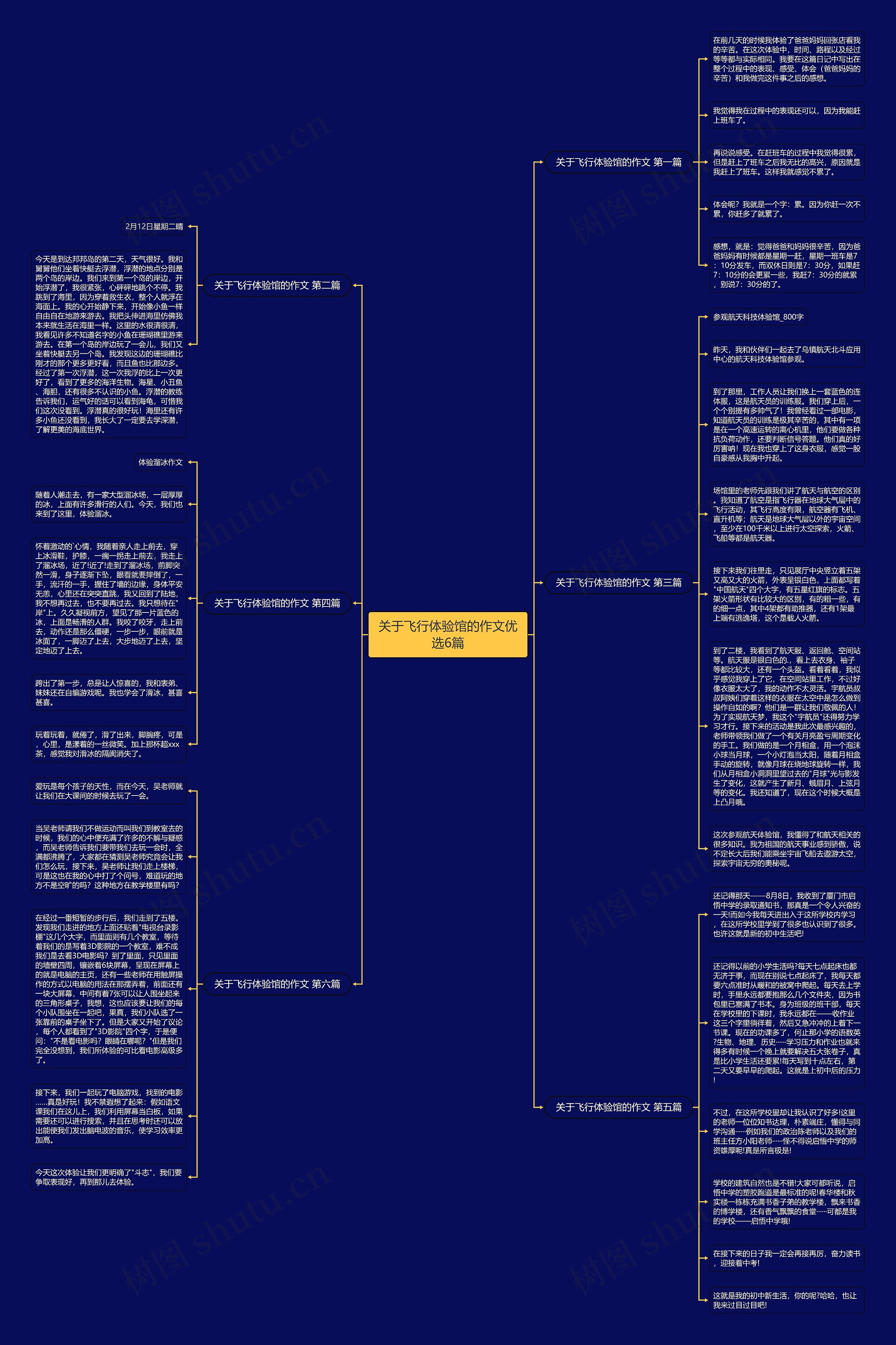 关于飞行体验馆的作文优选6篇思维导图