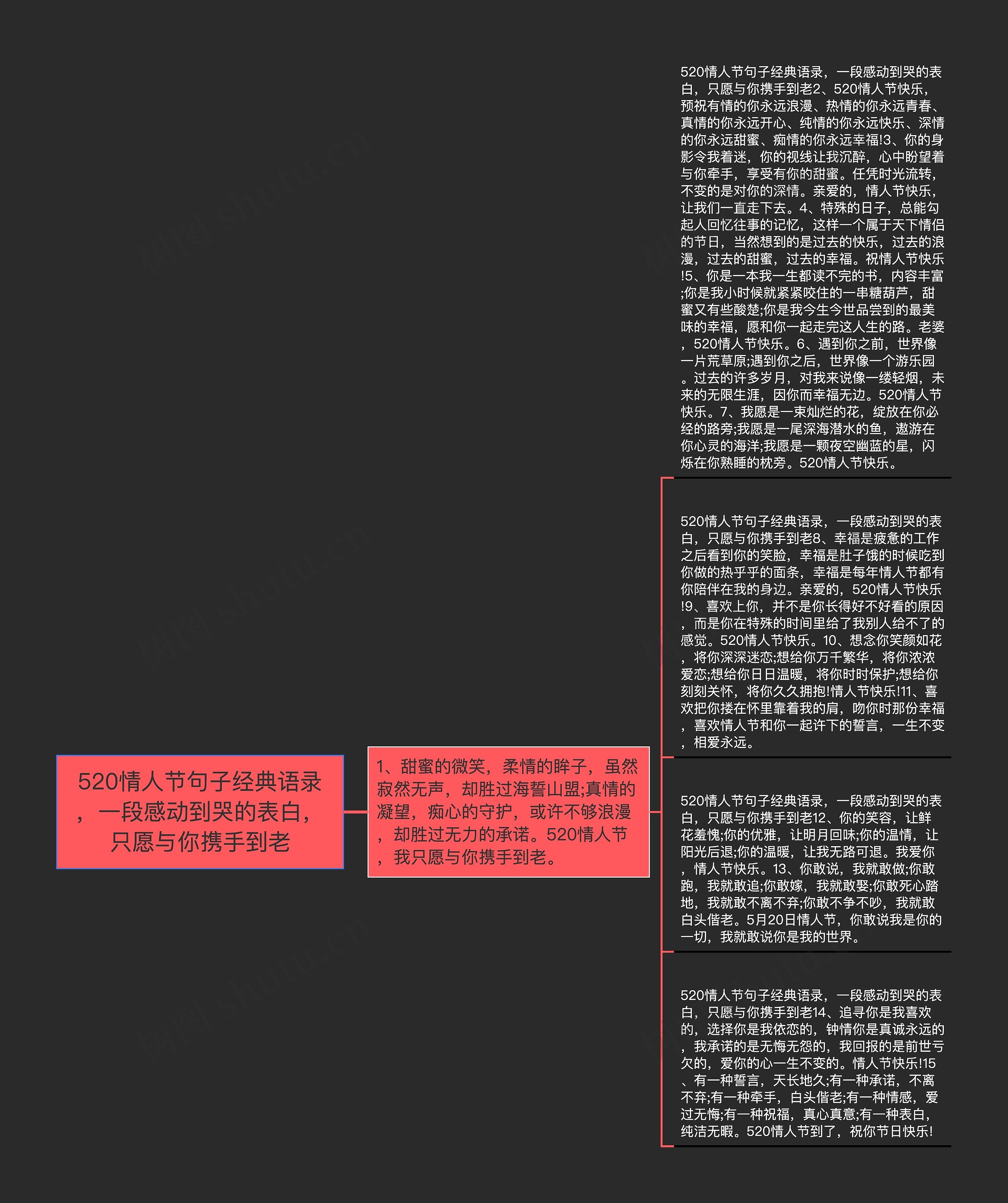 520情人节句子经典语录，一段感动到哭的表白，只愿与你携手到老