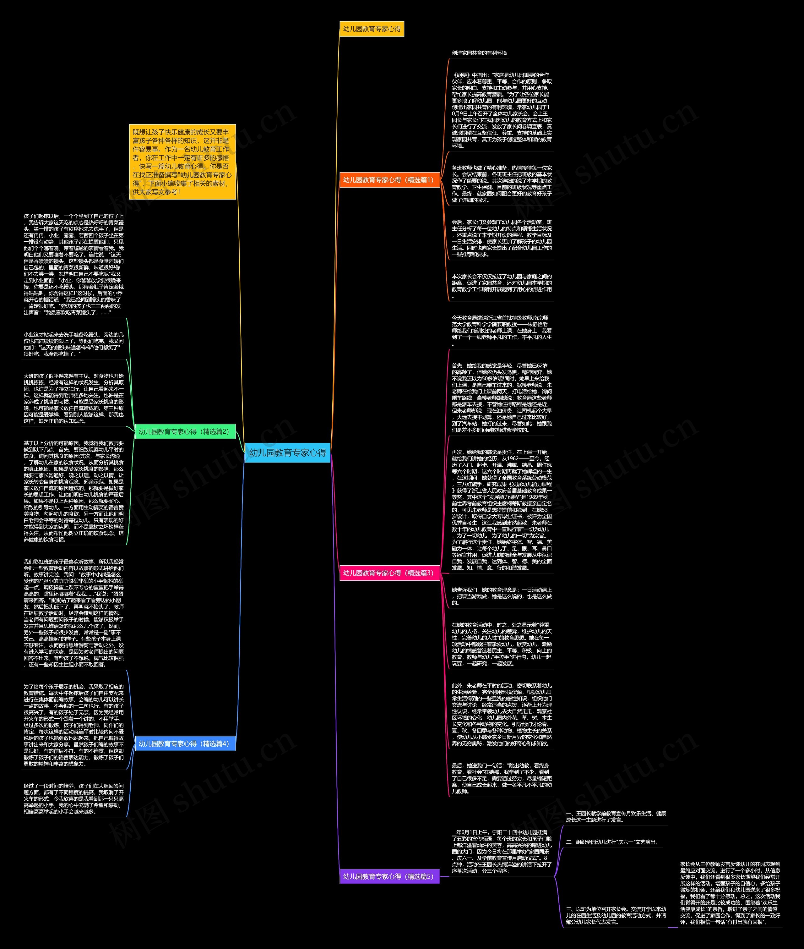 幼儿园教育专家心得思维导图