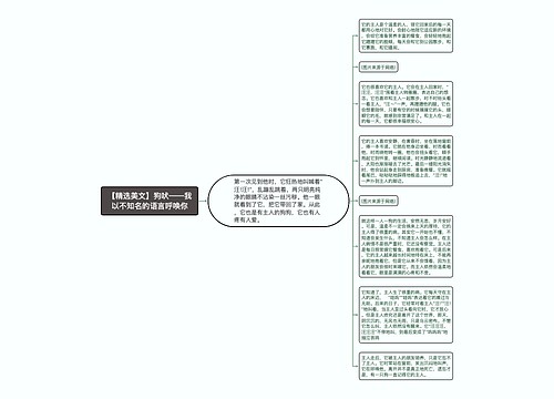 【精选美文】狗吠——我以不知名的语言呼唤你