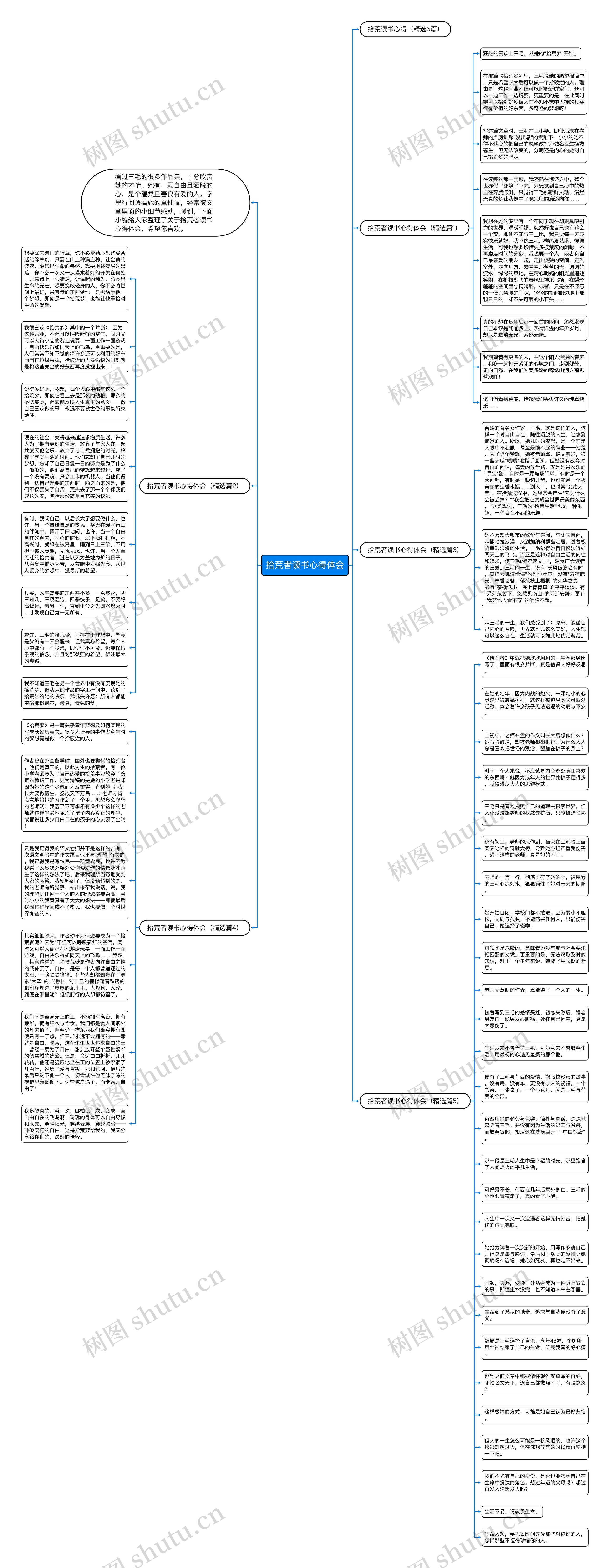 拾荒者读书心得体会思维导图