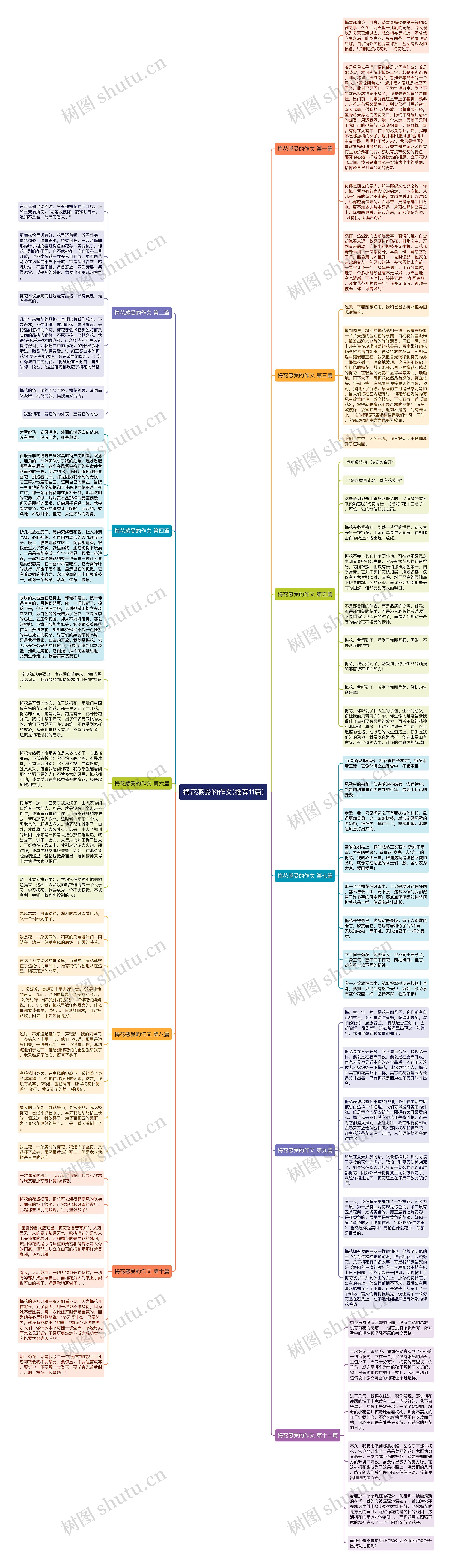 梅花感受的作文(推荐11篇)思维导图