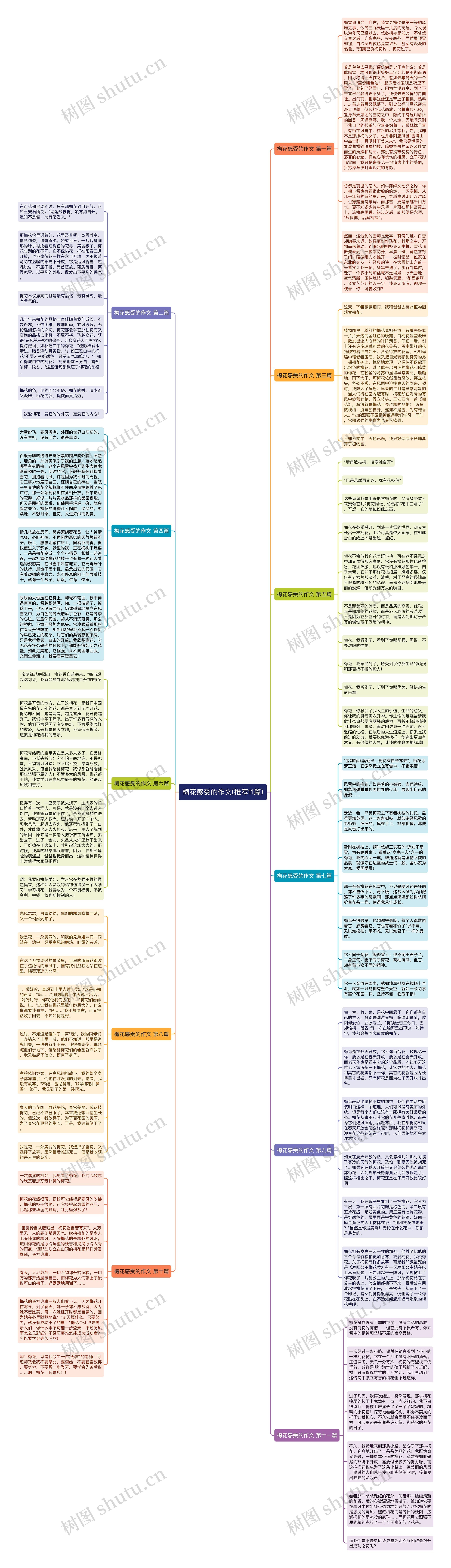 梅花感受的作文(推荐11篇) 梅花感受的作文(推荐11篇)