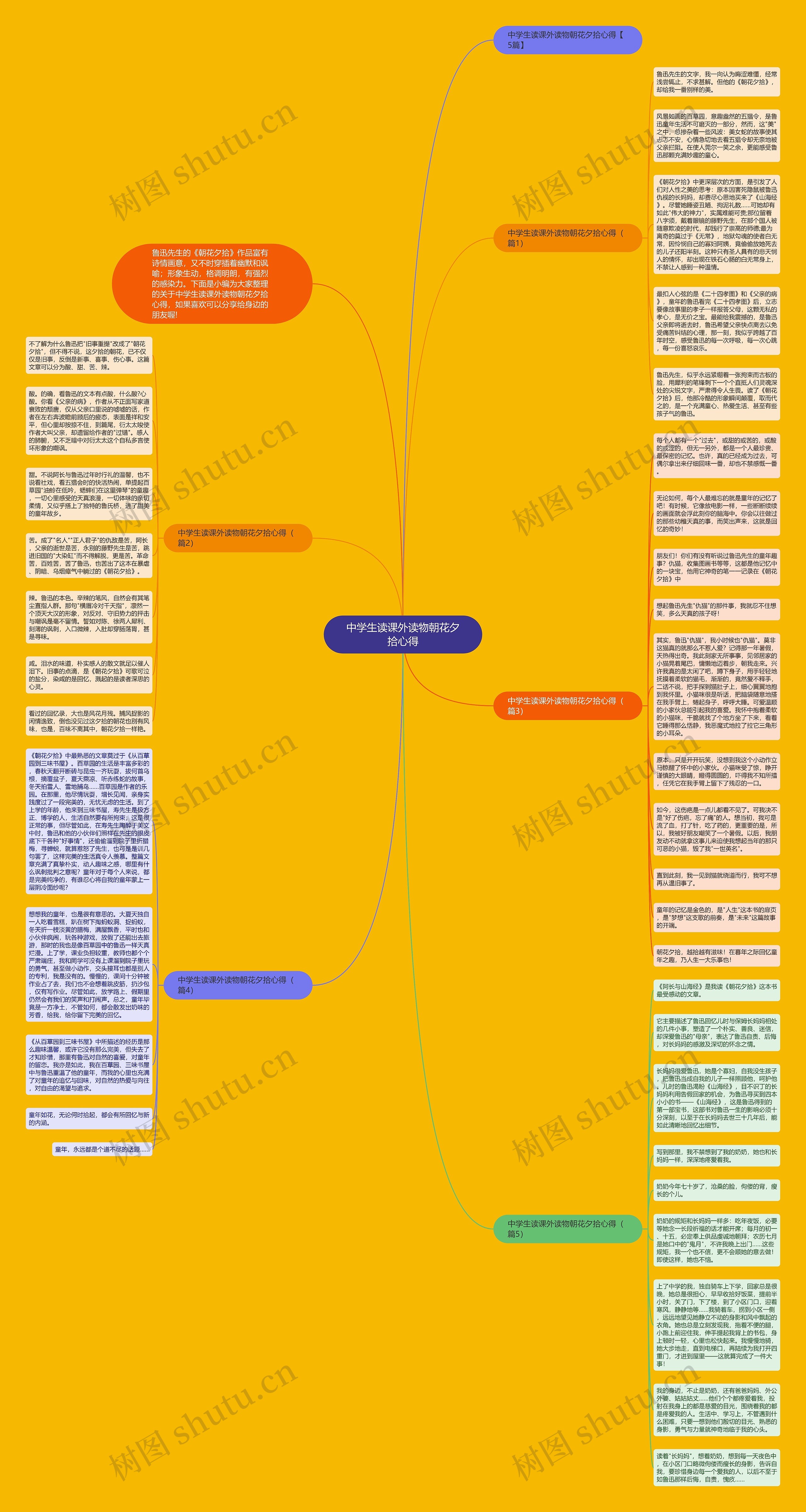 中学生读课外读物朝花夕拾心得思维导图