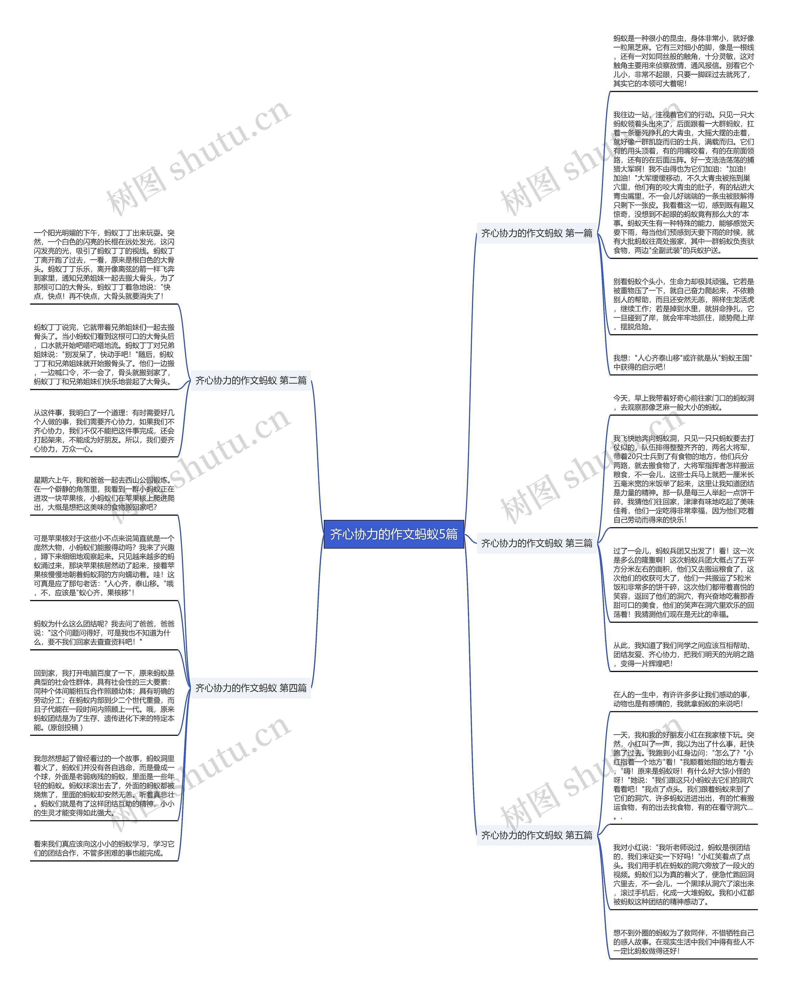 齐心协力的作文蚂蚁5篇思维导图高清图 齐心协力的作文蚂蚁5篇思维导图