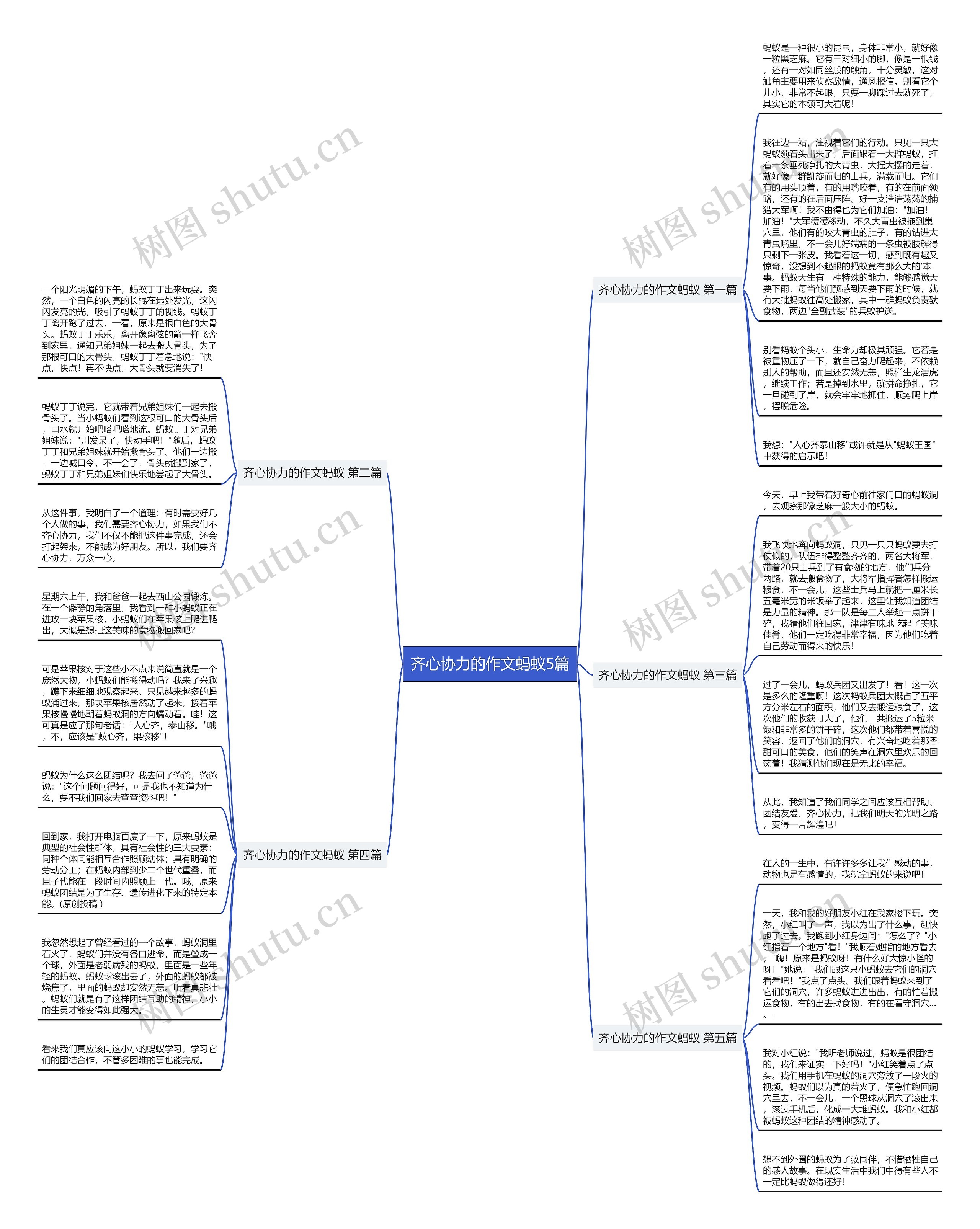 齐心协力的作文蚂蚁5篇思维导图