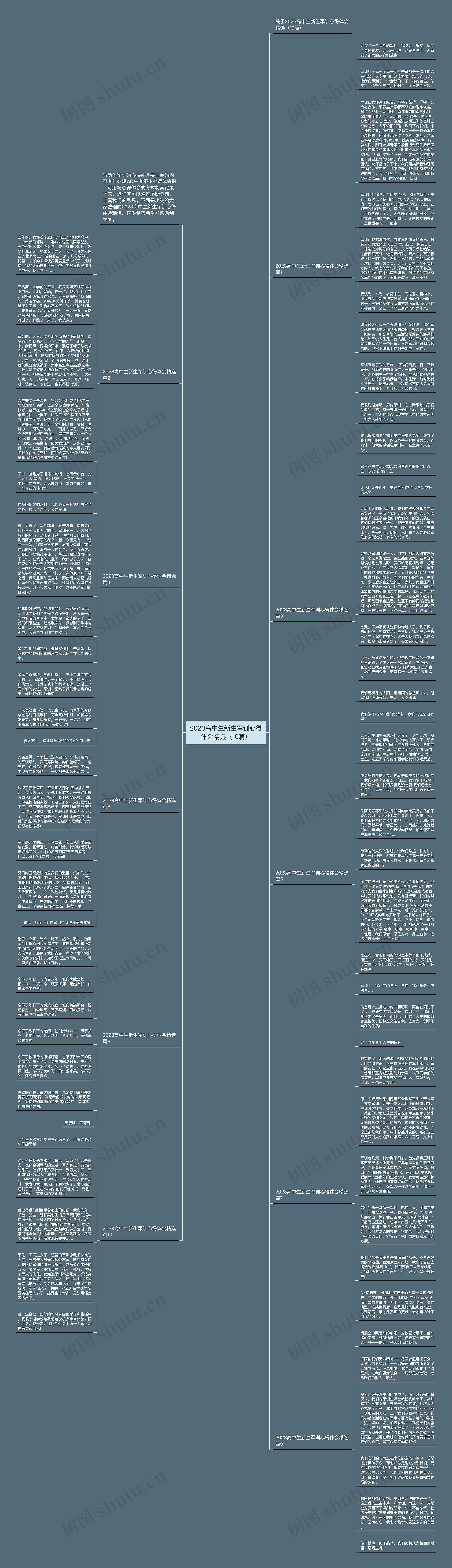 2023高中生新生军训心得体会精选（10篇）思维导图