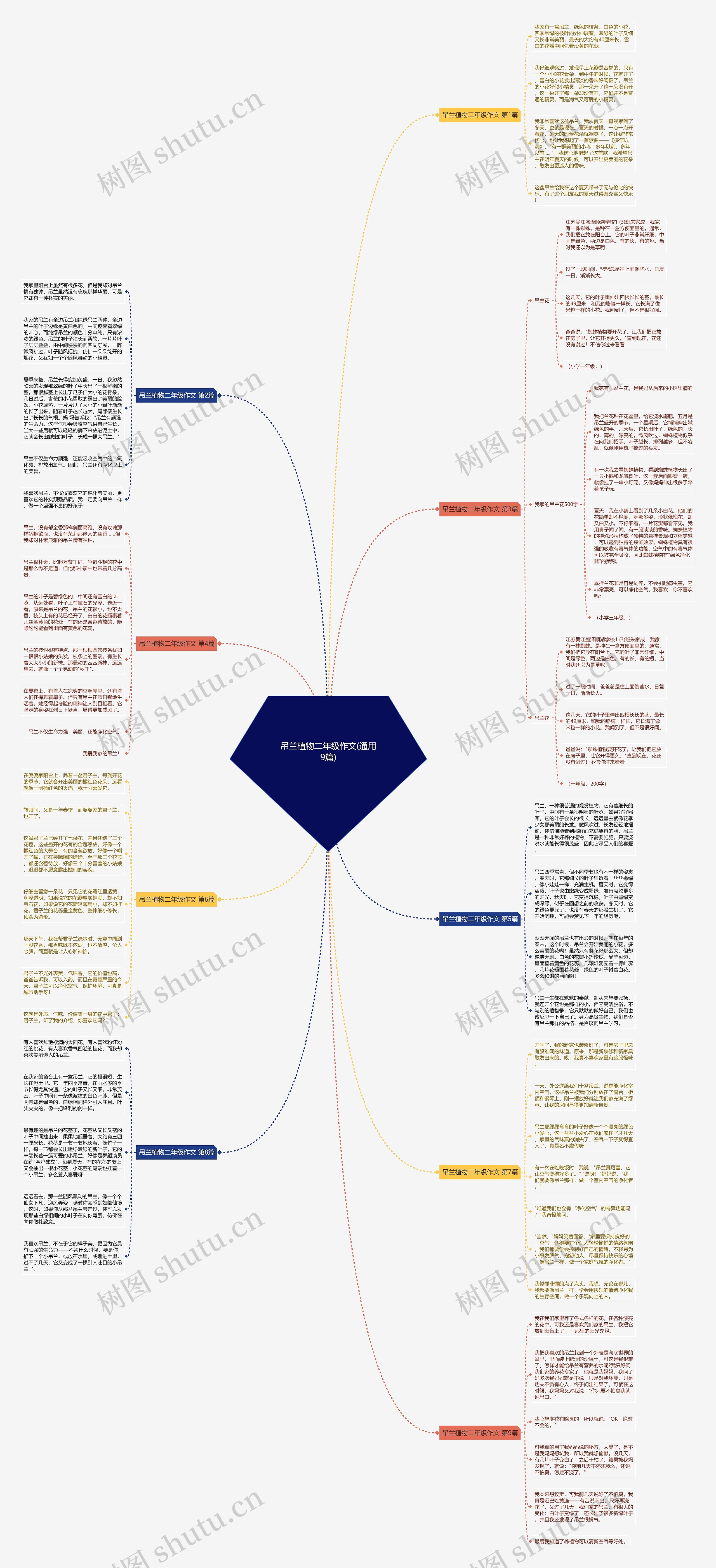 吊兰植物二年级作文(通用9篇)思维导图