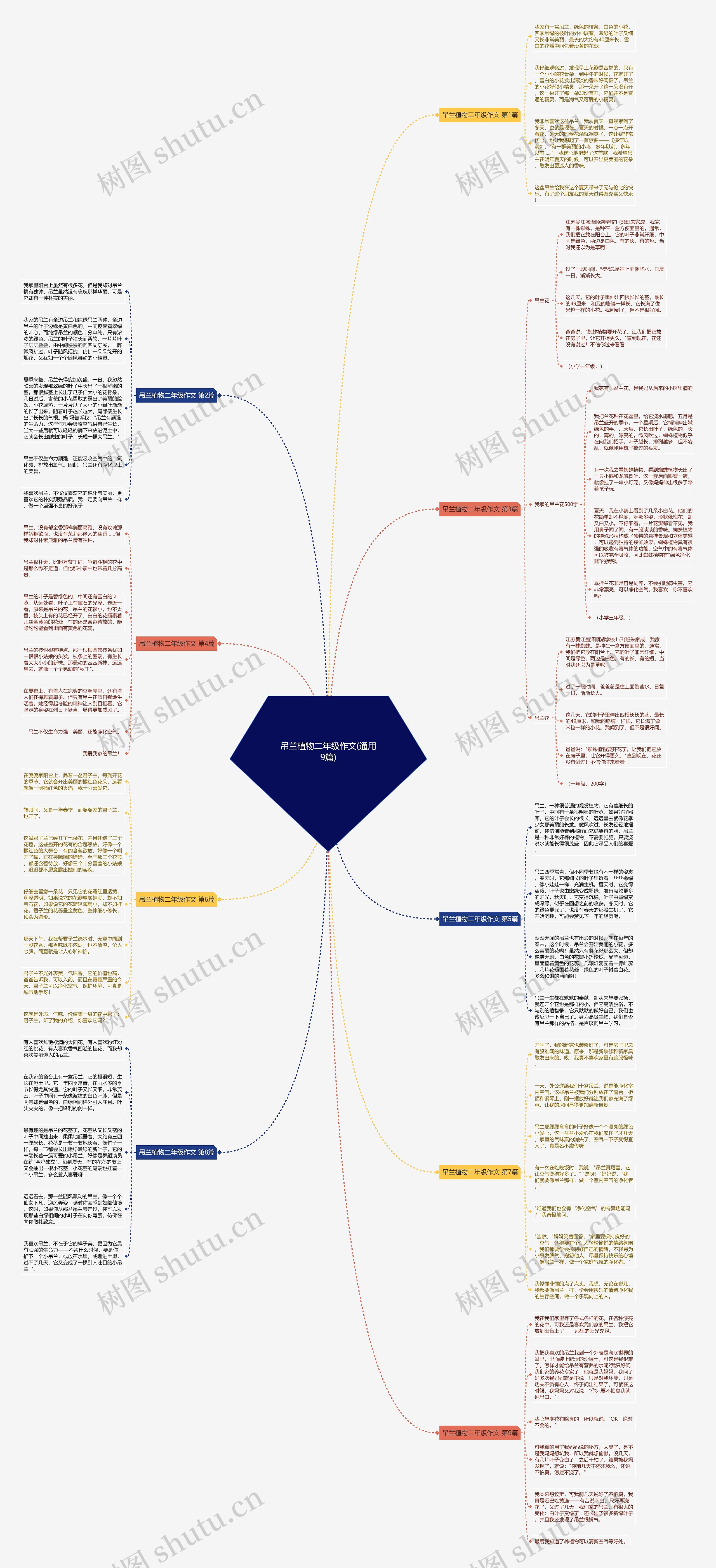 吊兰植物二年级作文(通用9篇) 吊兰植物二年级作文(通用9篇)