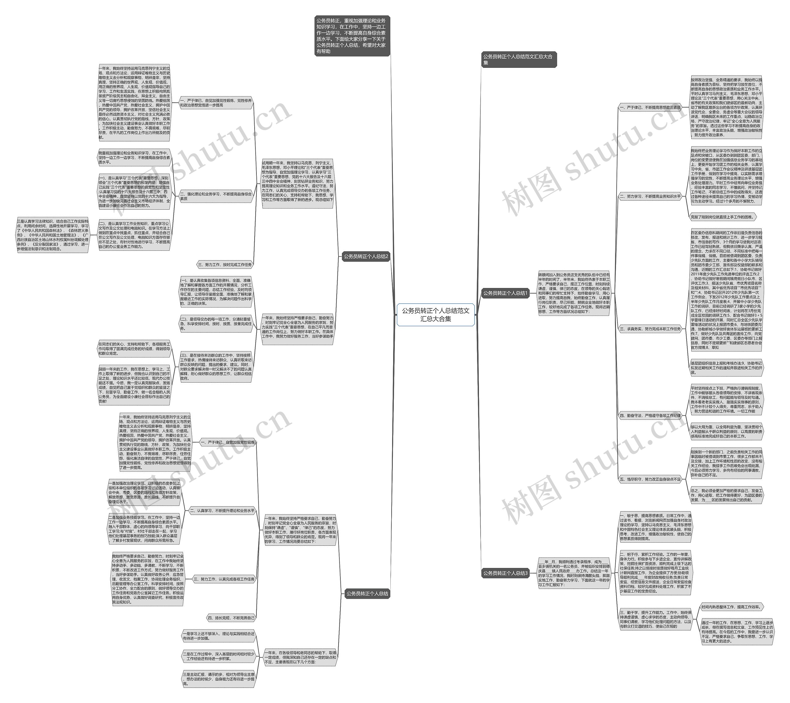 公务员转正个人总结范文汇总大合集思维导图