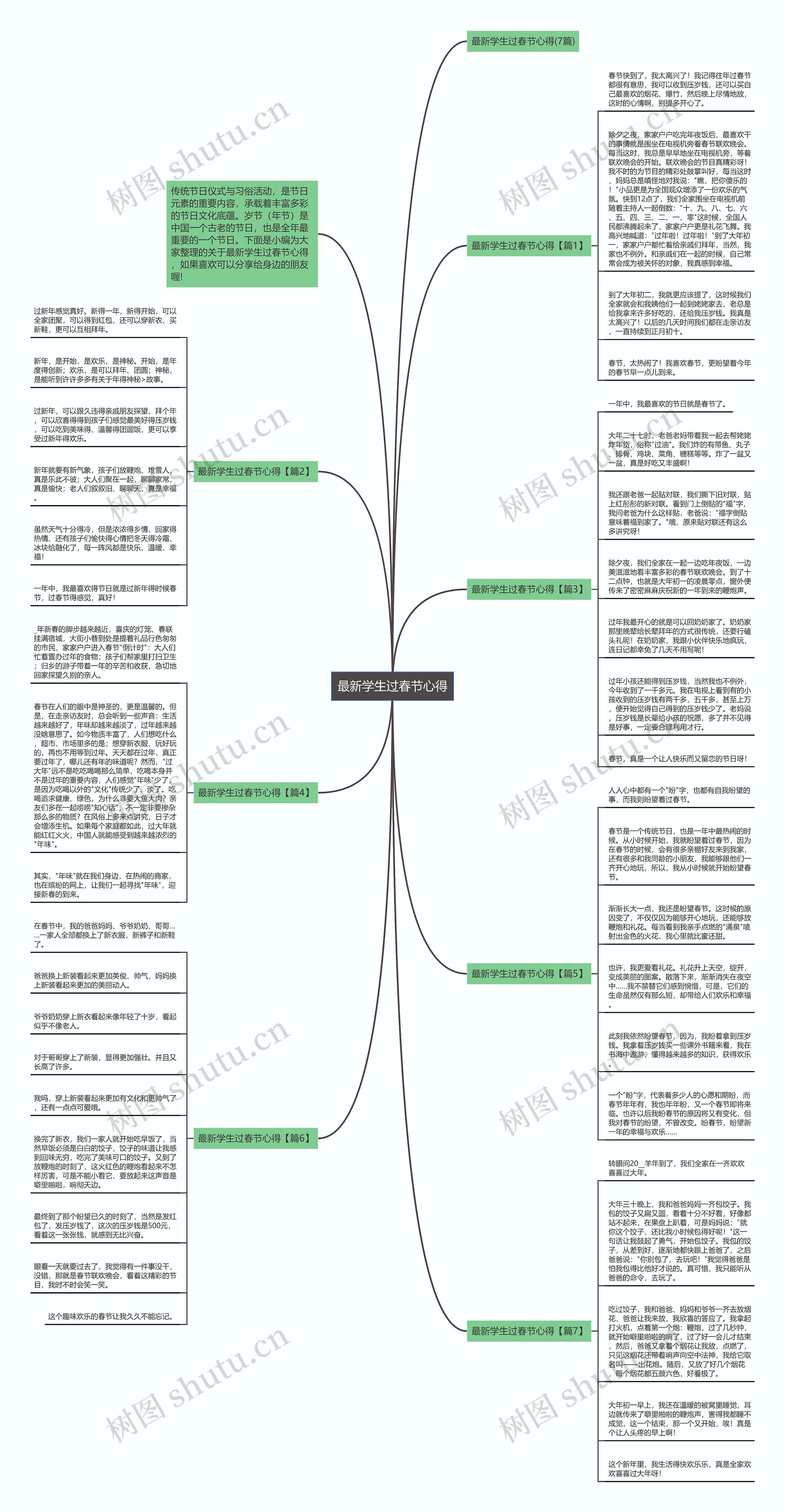 最新学生过春节心得思维导图