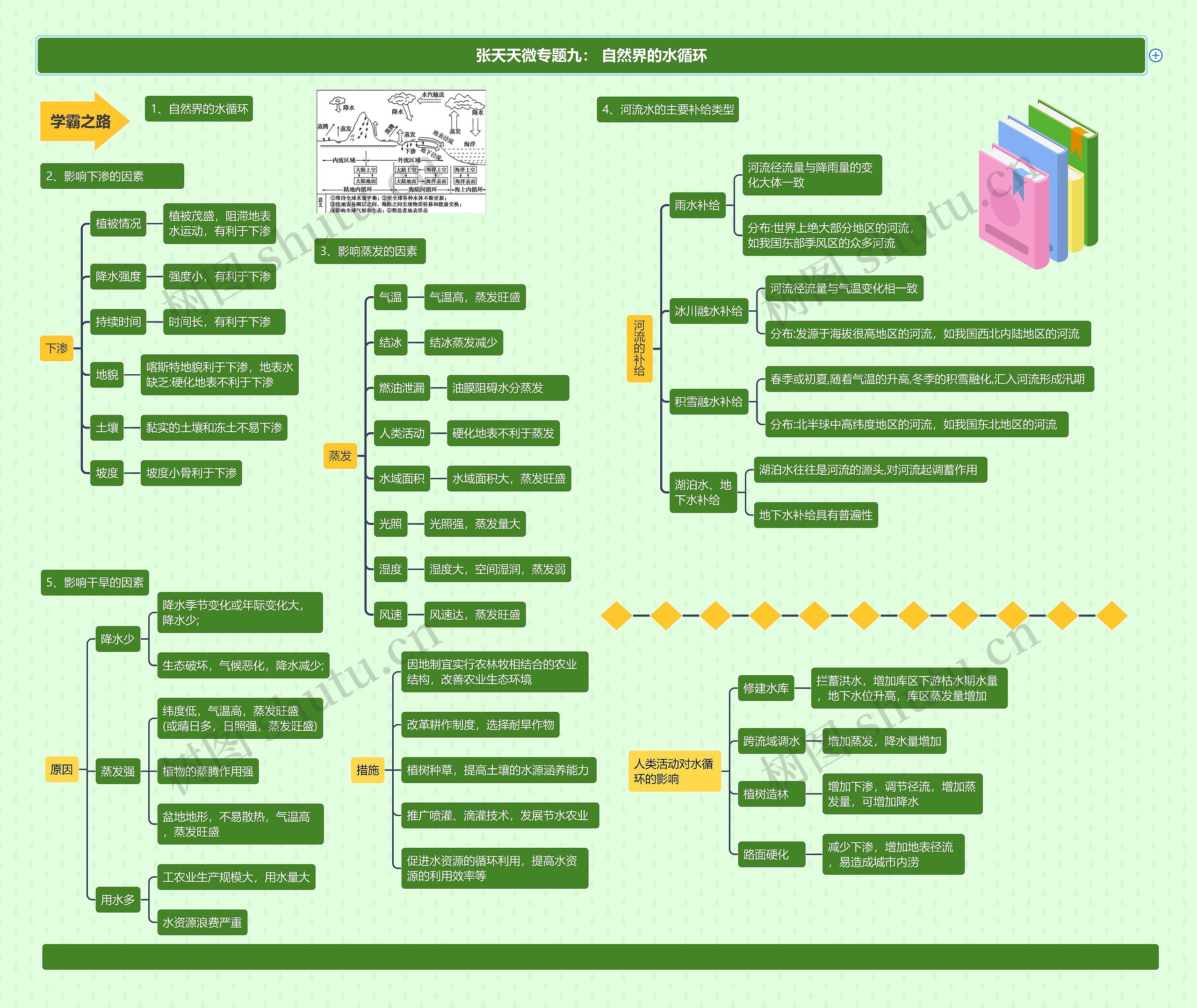 张天天微专题九： 自然界的水循环思维导图