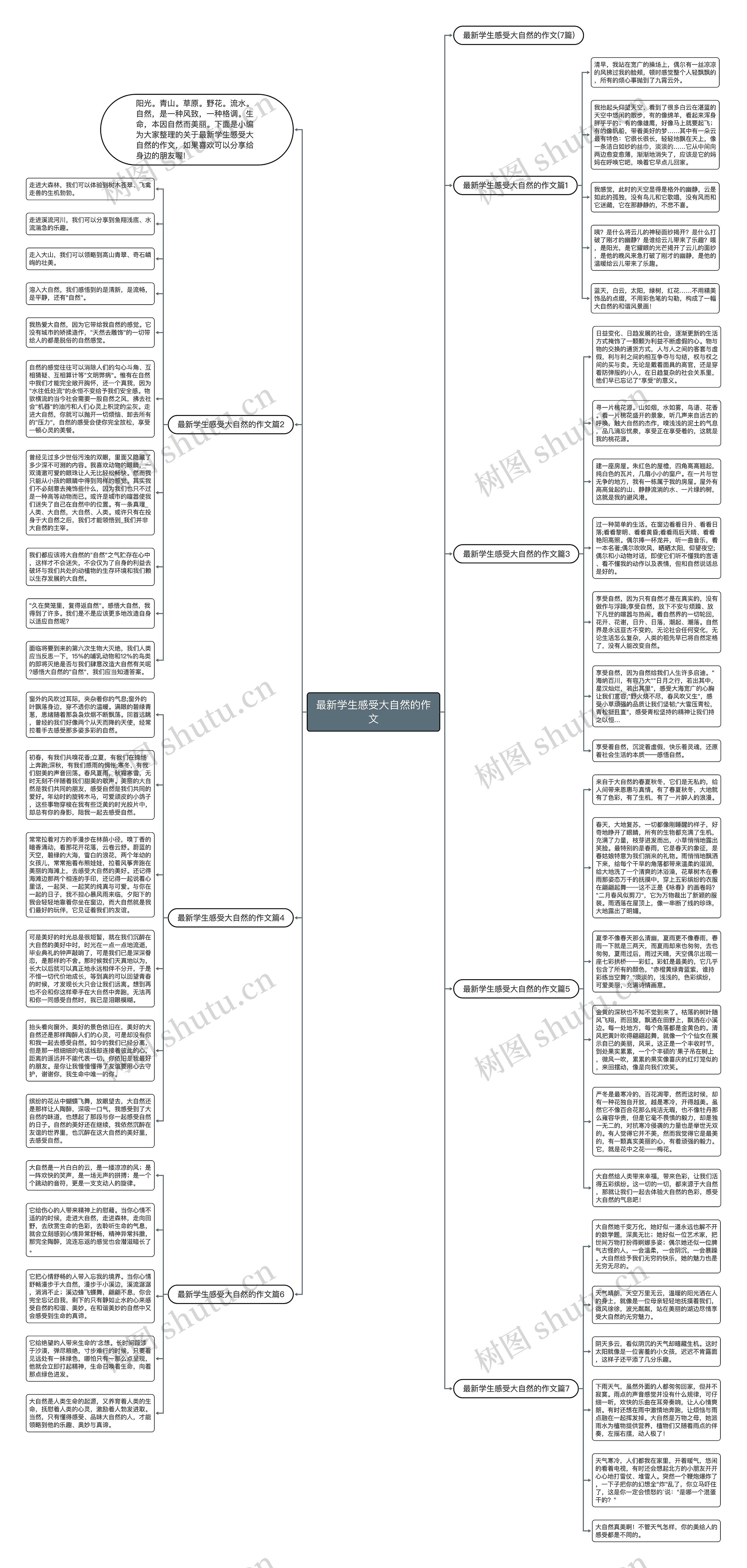 最新学生感受大自然的作文思维导图
