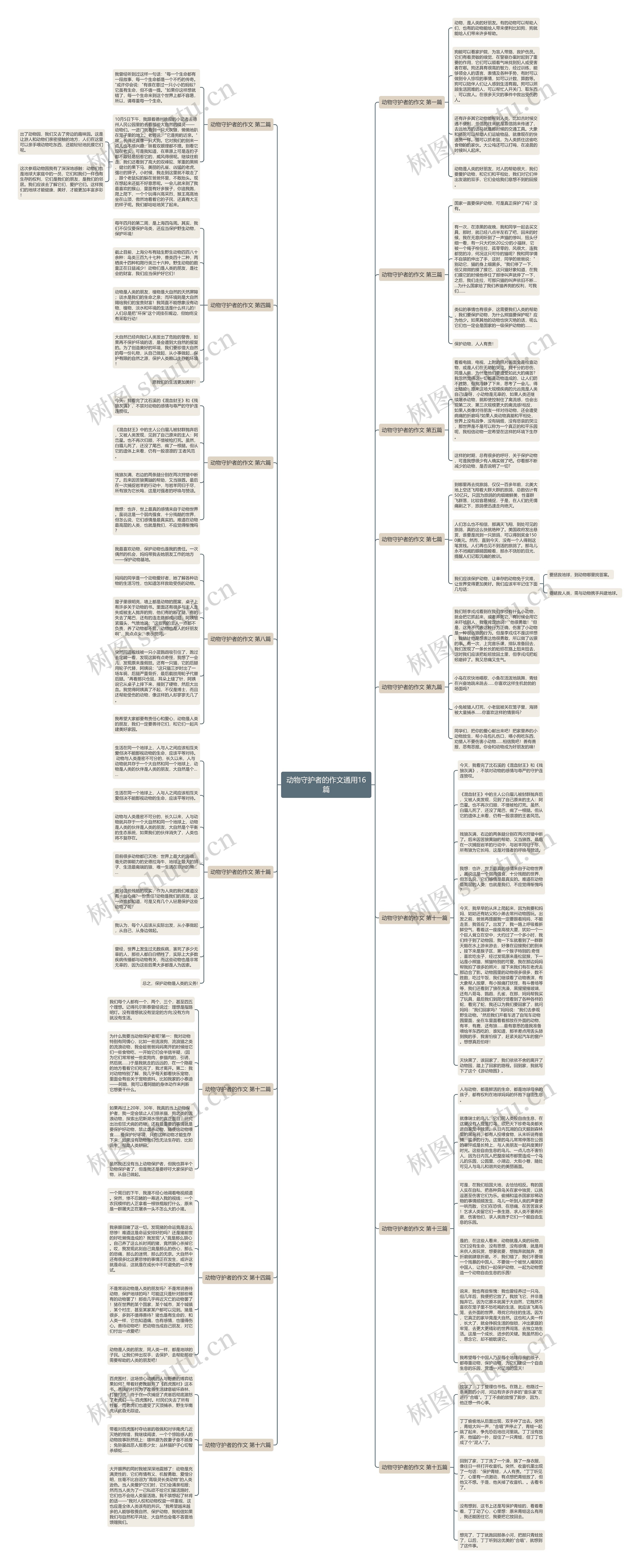 动物守护者的作文通用16篇