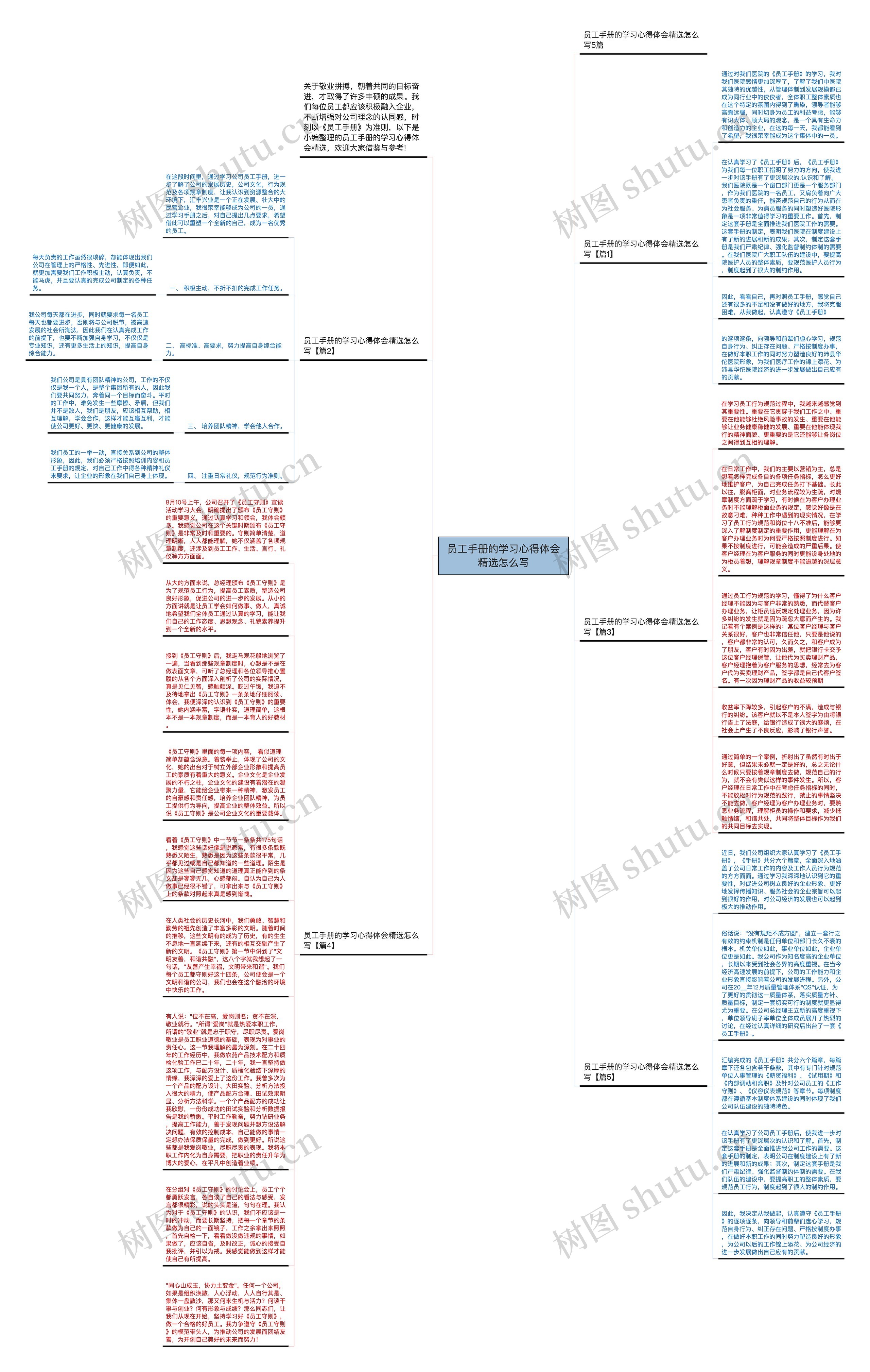 员工手册的学习心得体会精选怎么写思维导图
