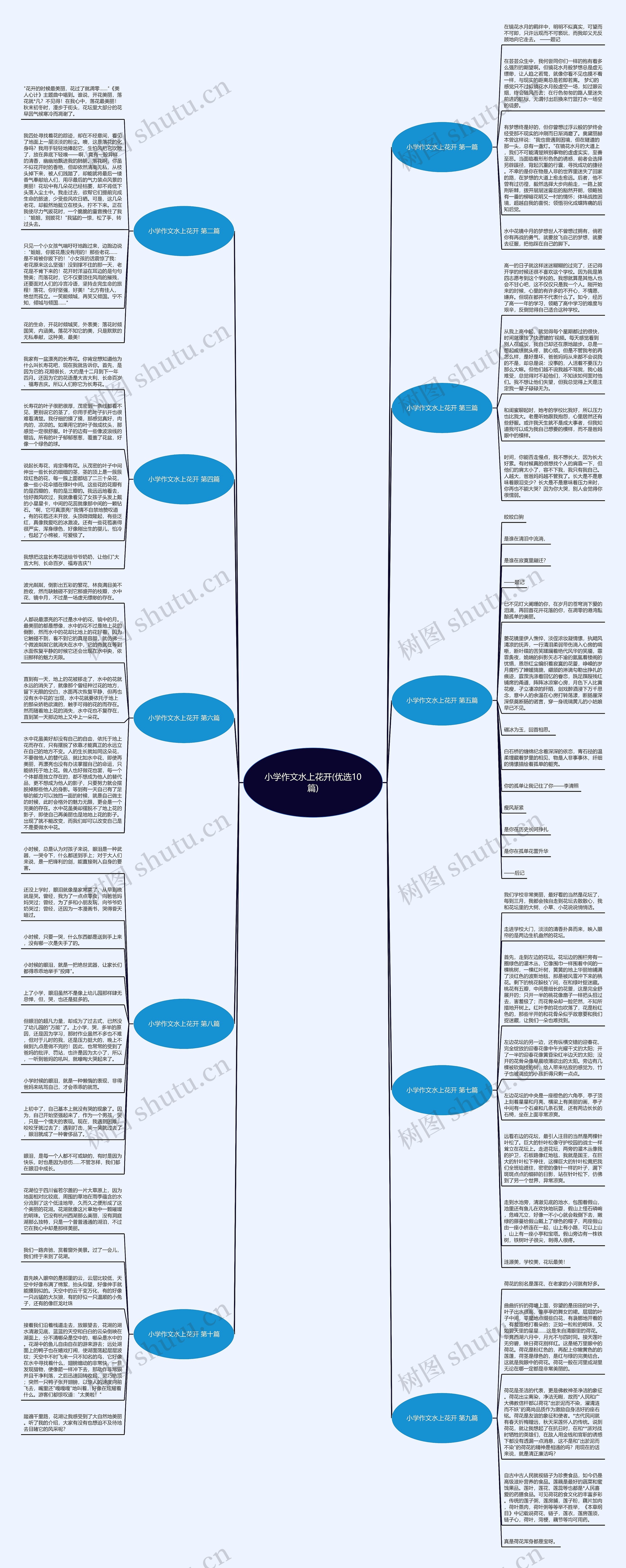小学作文水上花开(优选10篇) 小学作文水上花开(优选10篇)