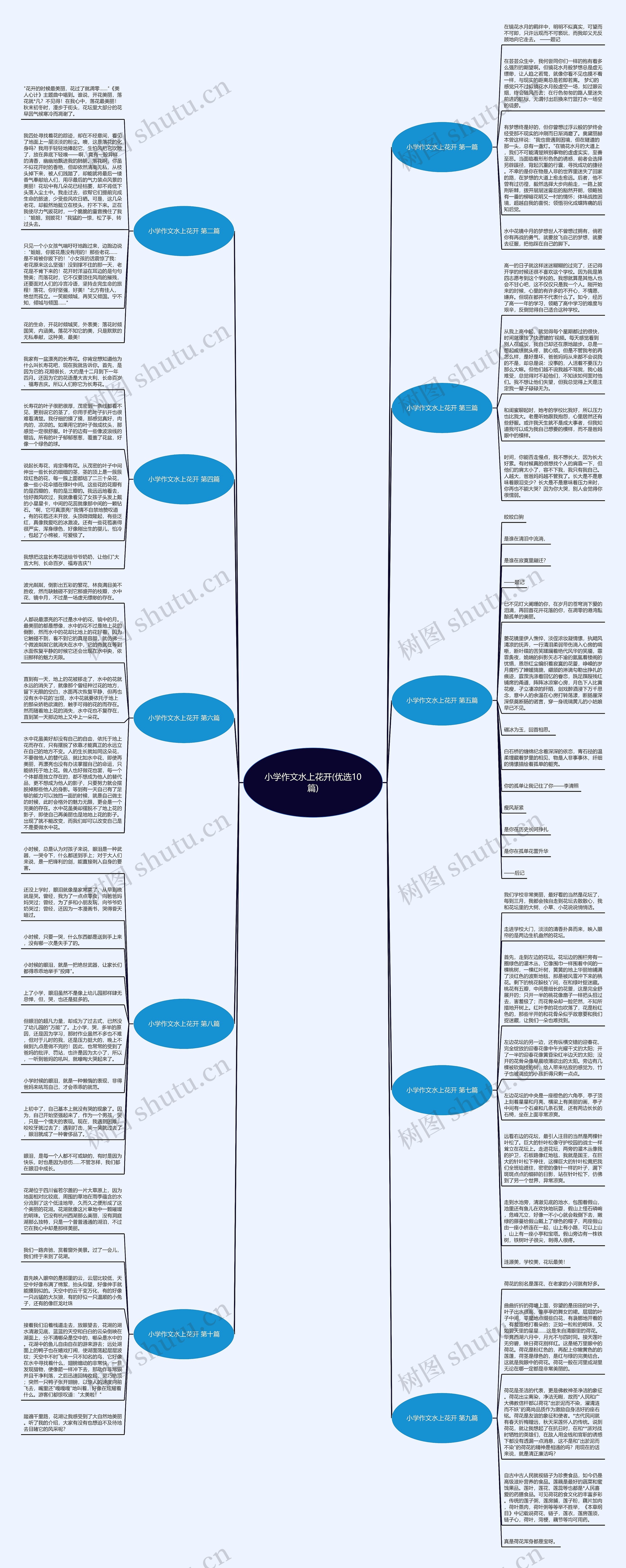 小学作文水上花开(优选10篇)思维导图