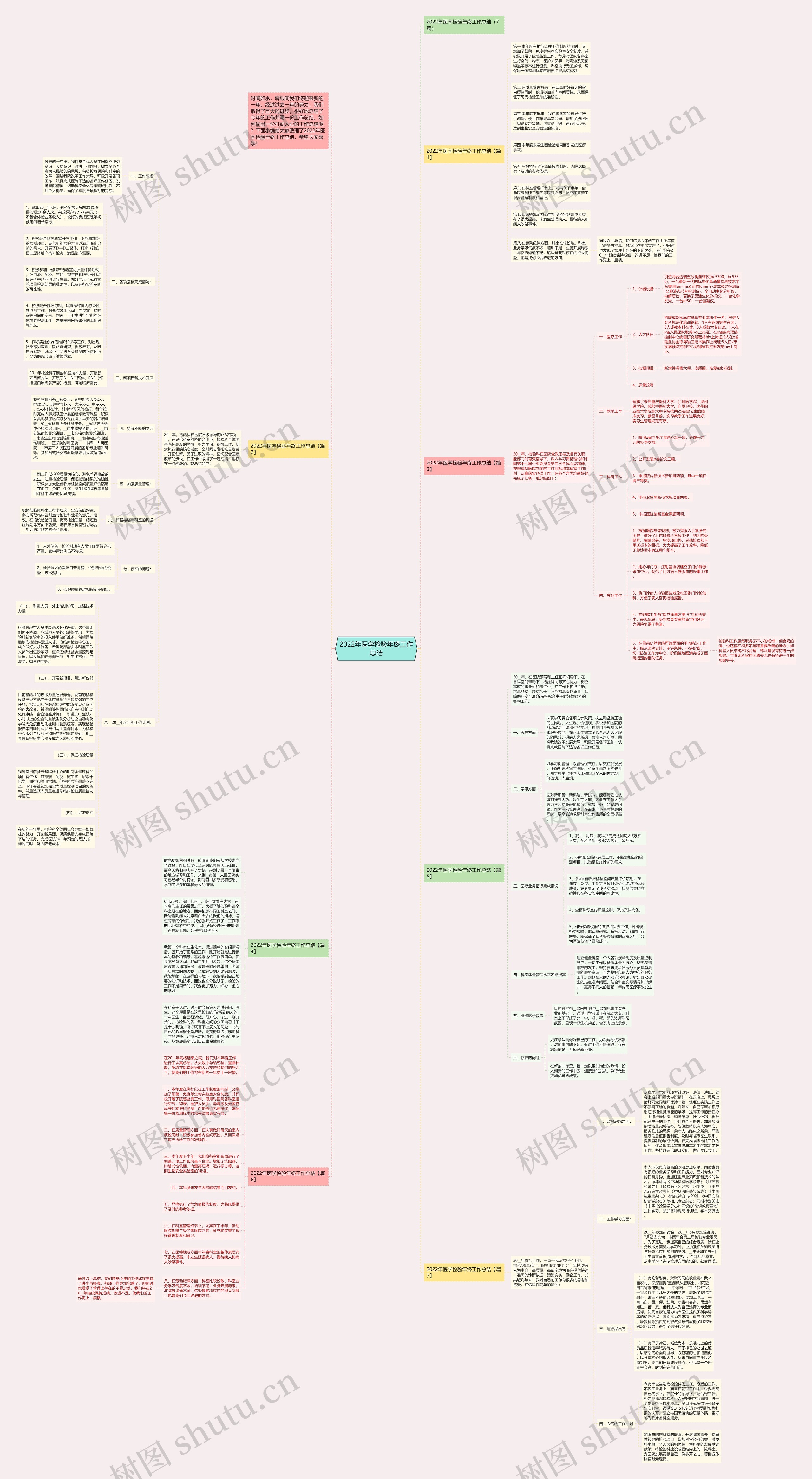 2022年医学检验年终工作总结思维导图