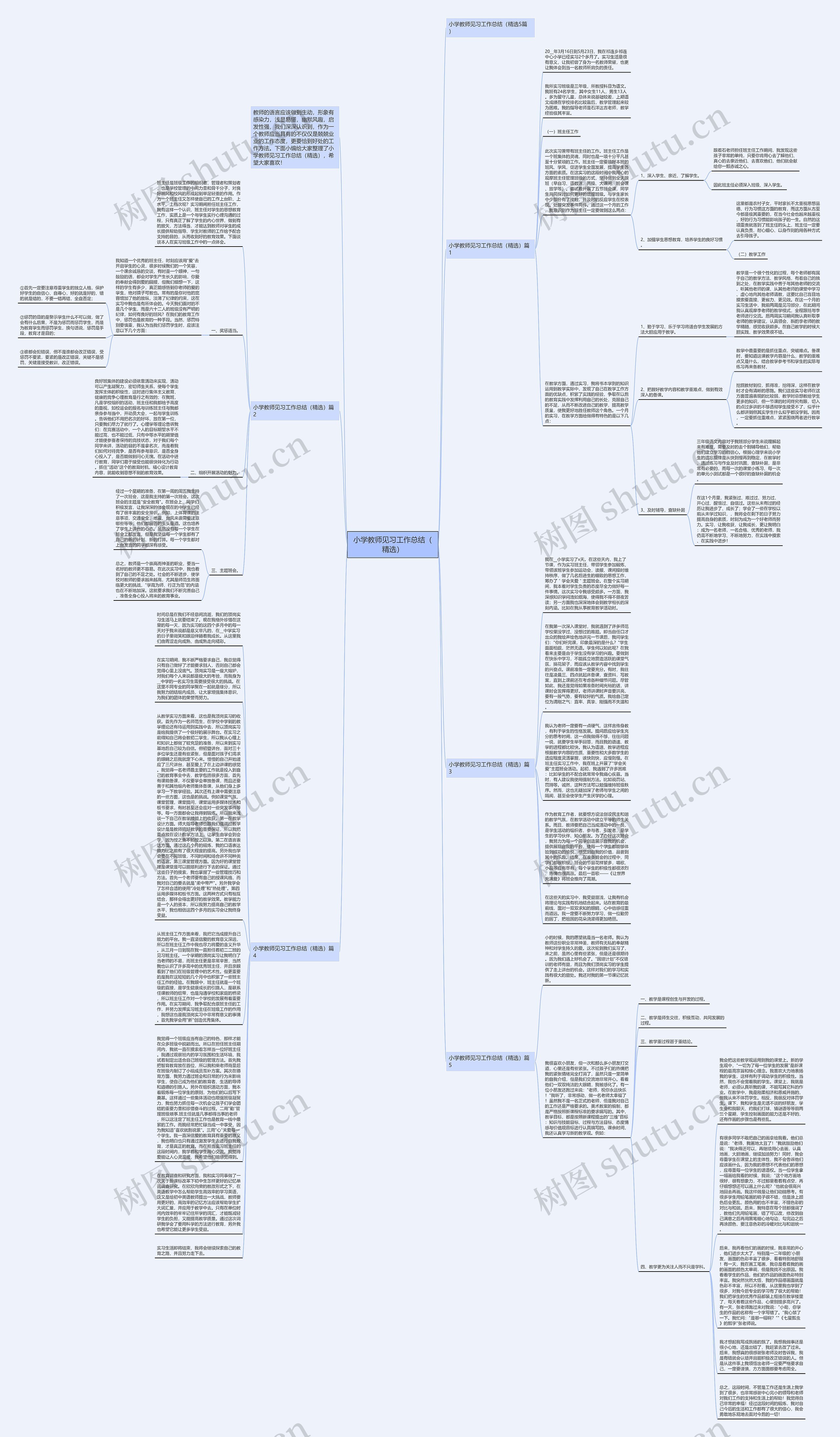 小学教师见习工作总结（精选）思维导图