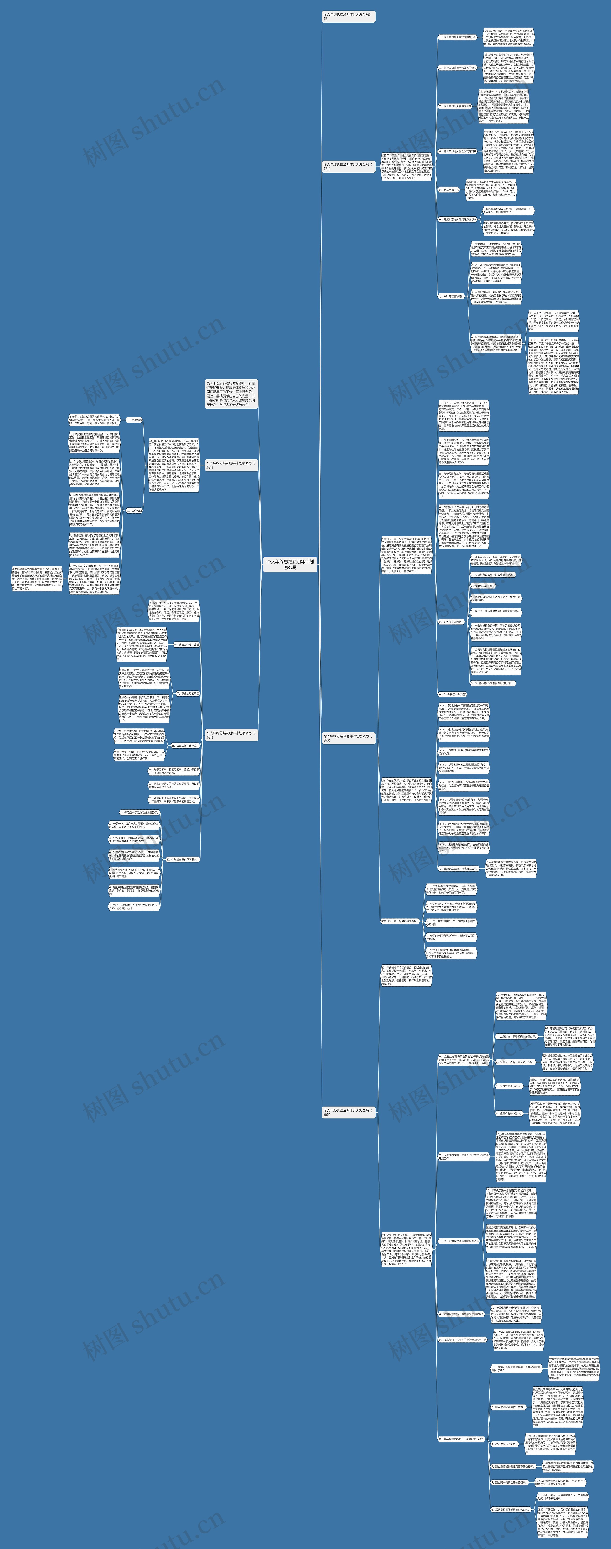 个人年终总结及明年计划怎么写思维导图