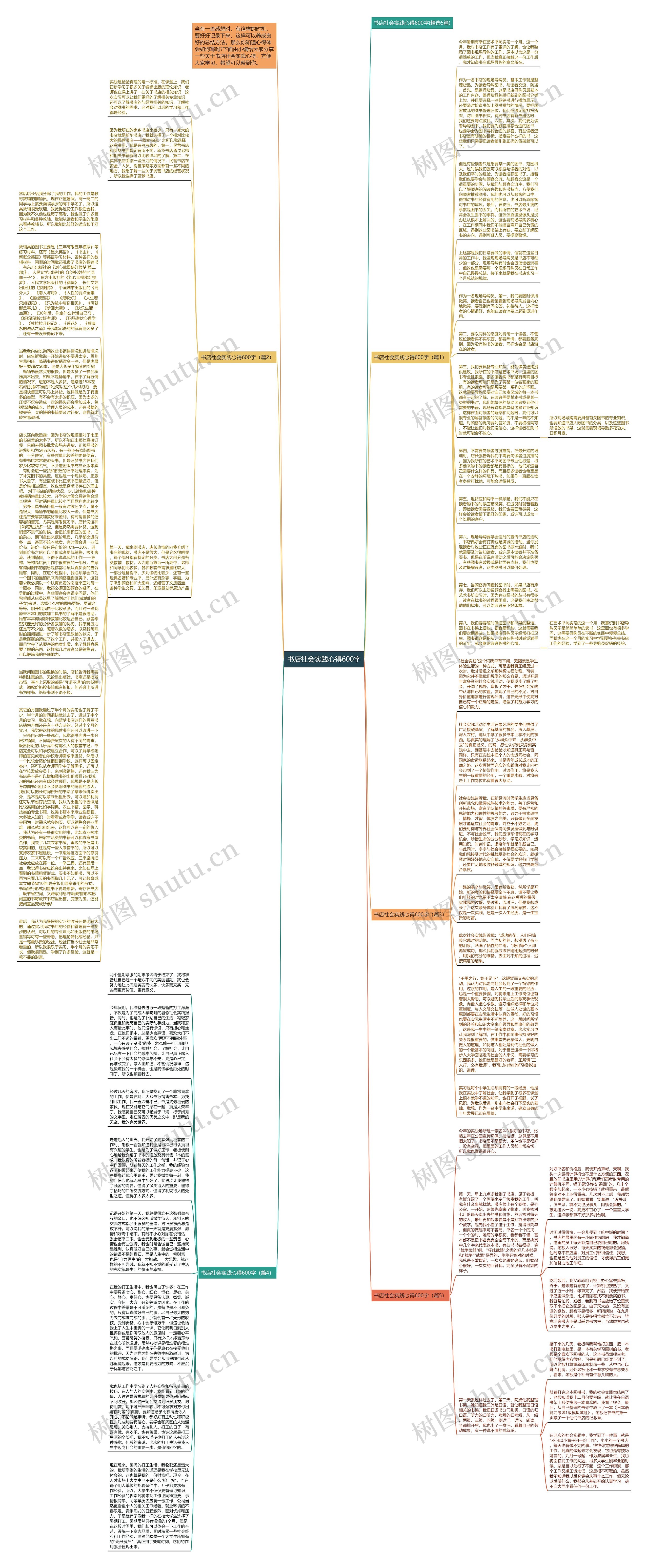 书店社会实践心得600字思维导图