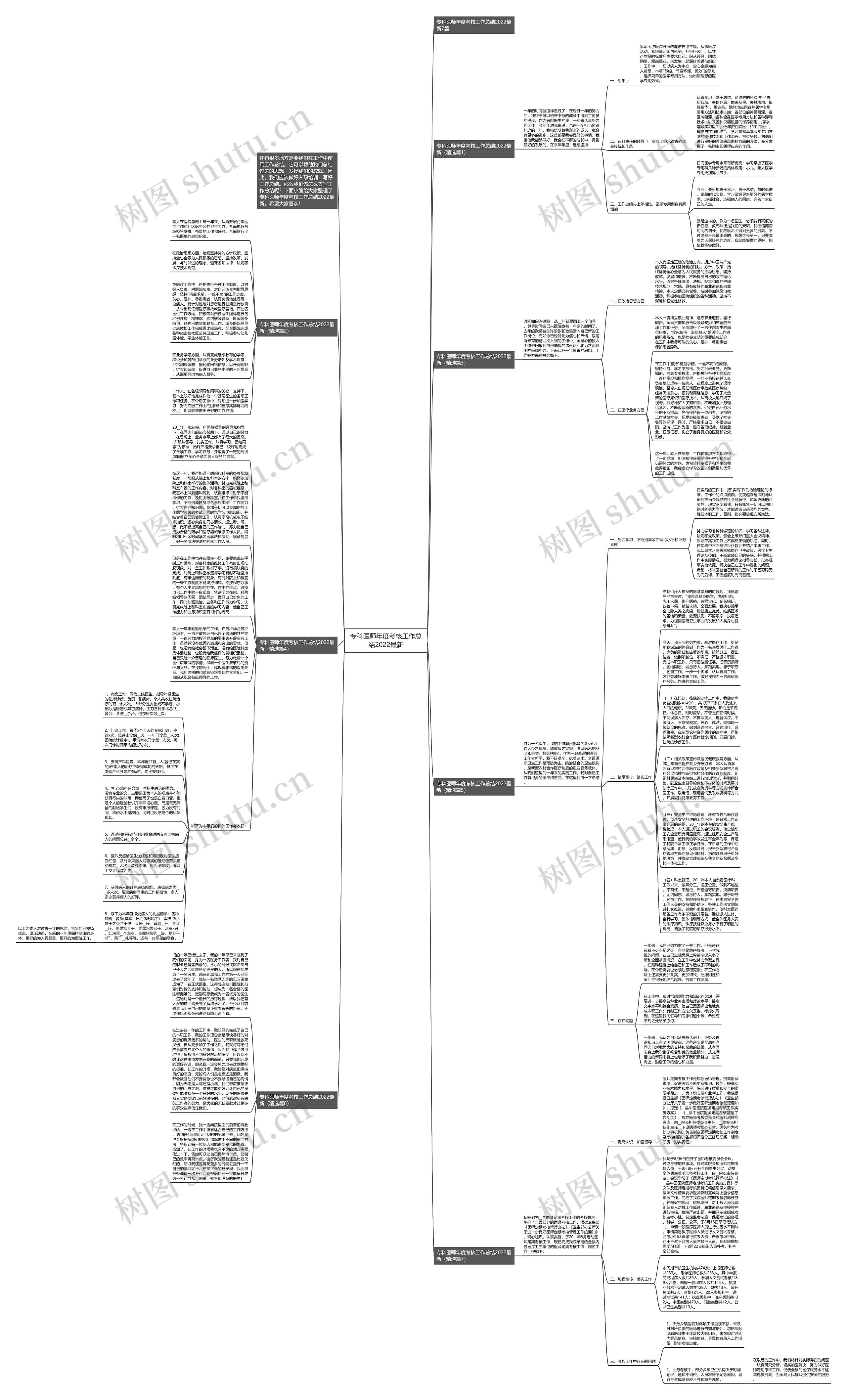 专科医师年度考核工作总结2022最新思维导图