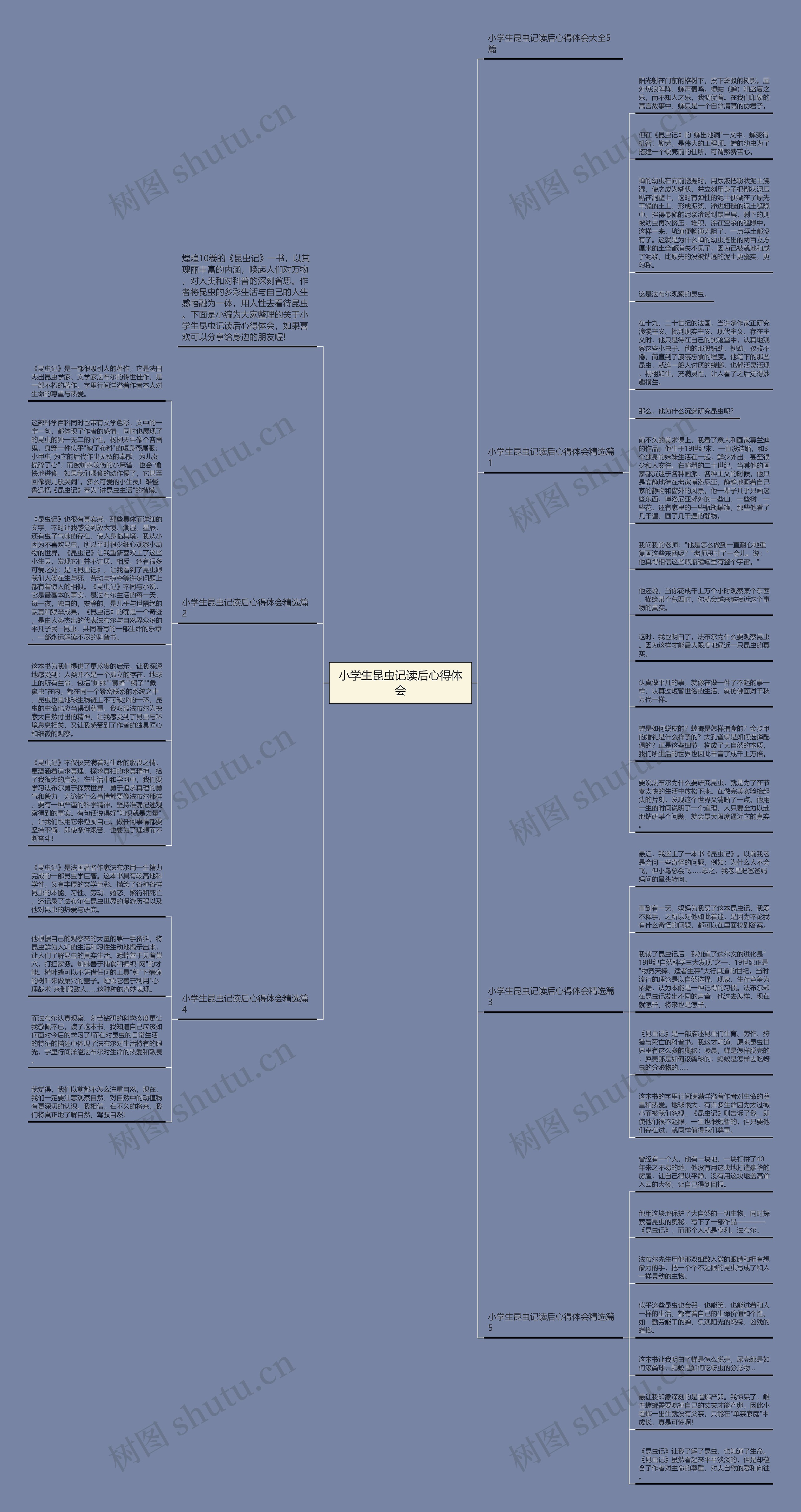小学生昆虫记读后心得体会思维导图