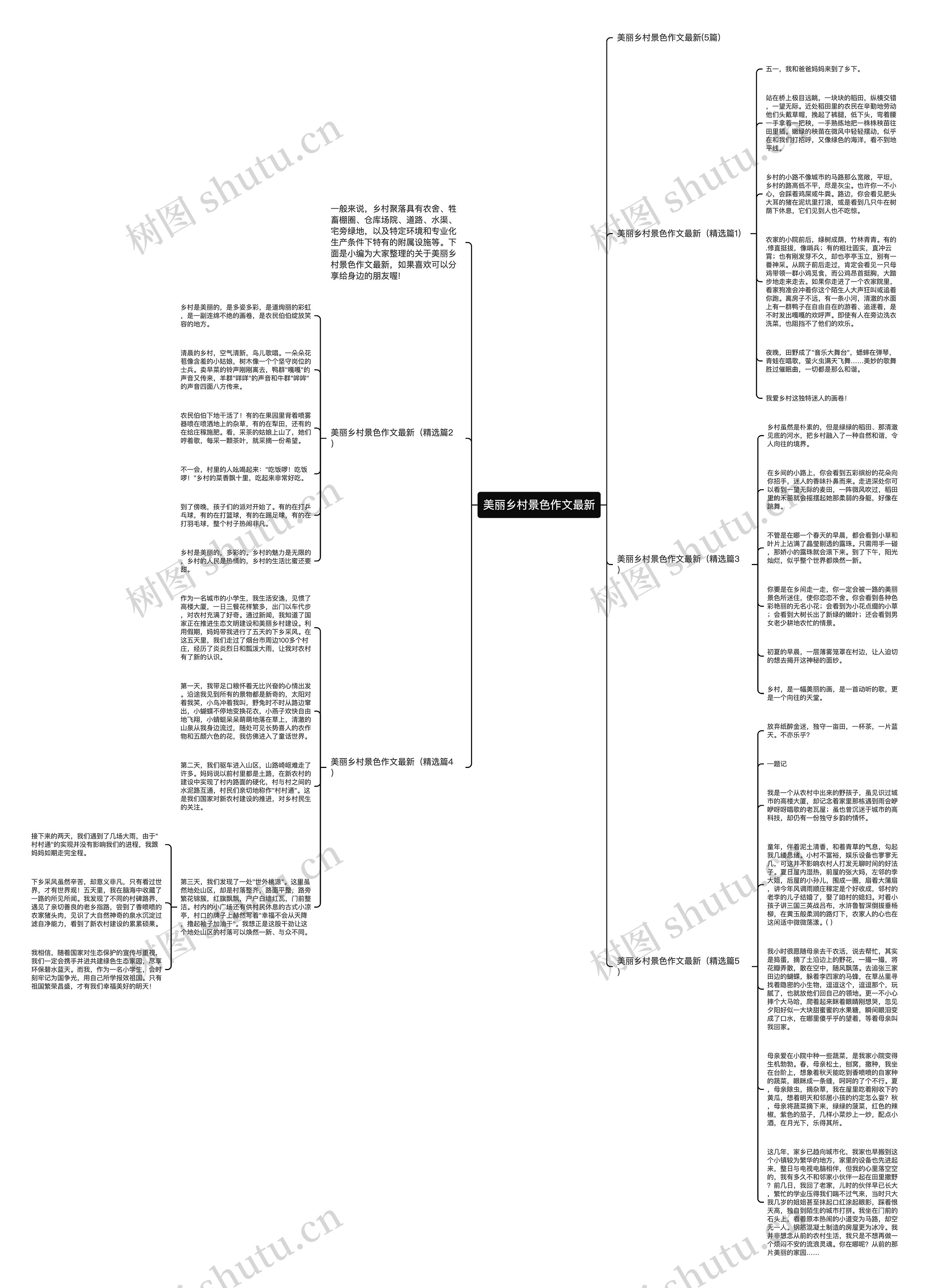 美丽乡村景色作文最新思维导图